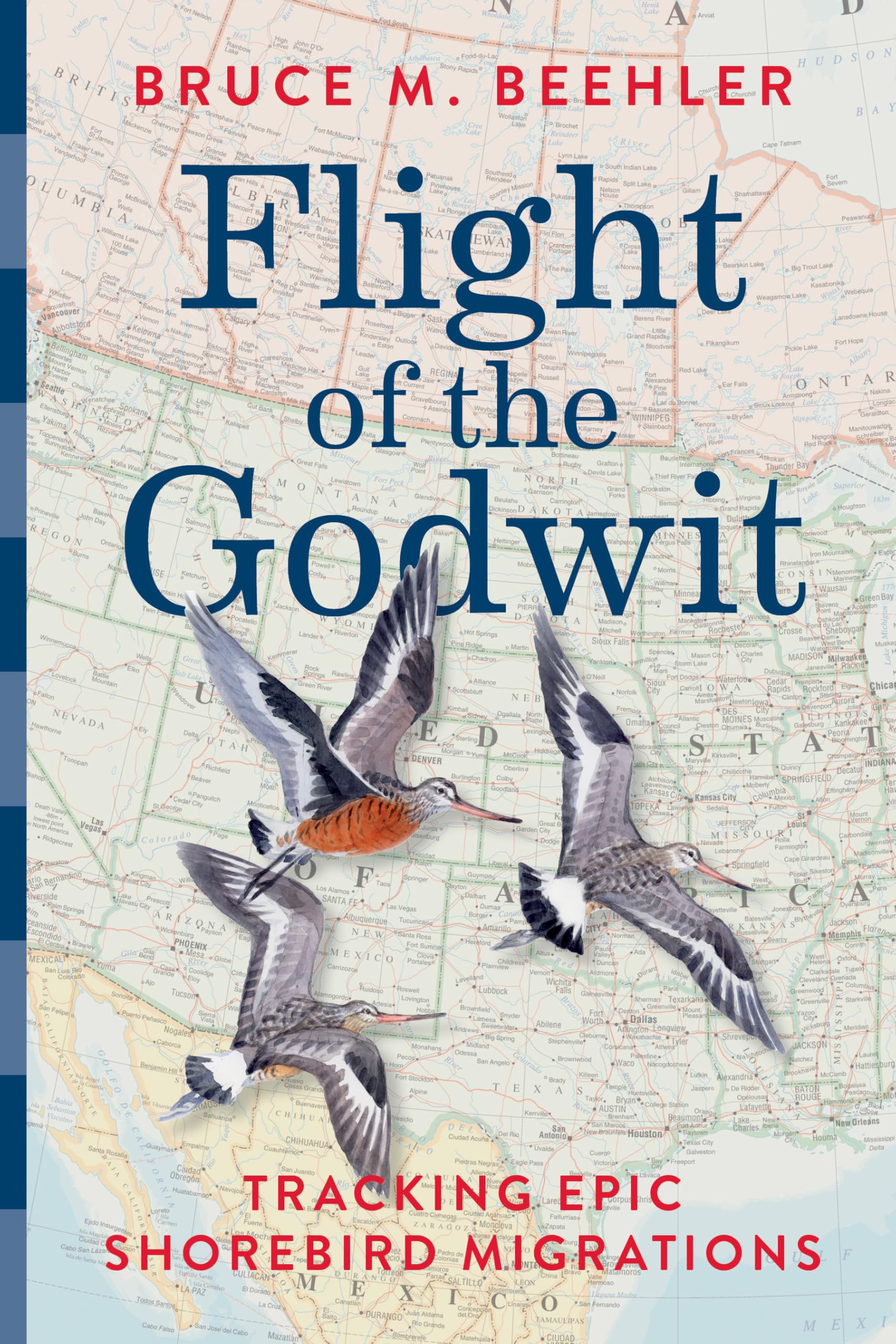 Flight of the Godwit: Tracking Epic Shorebird Migrations Geology & Geography