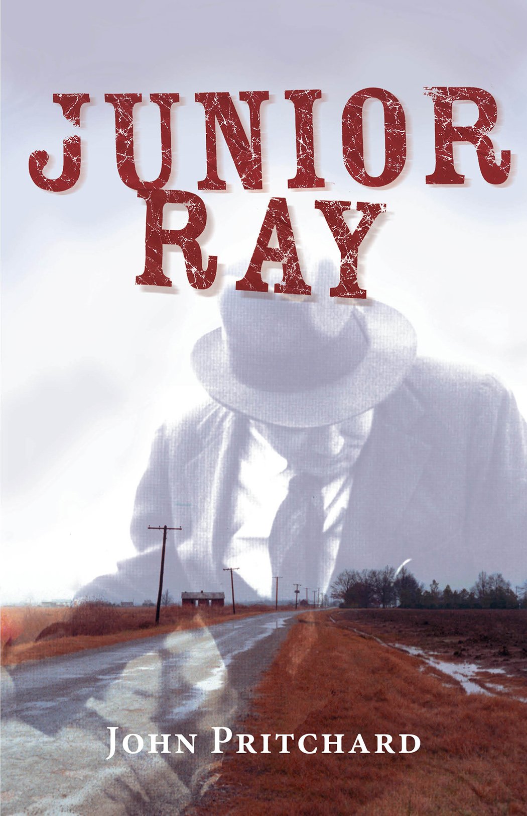 Junior Ray Contemporary literature Books