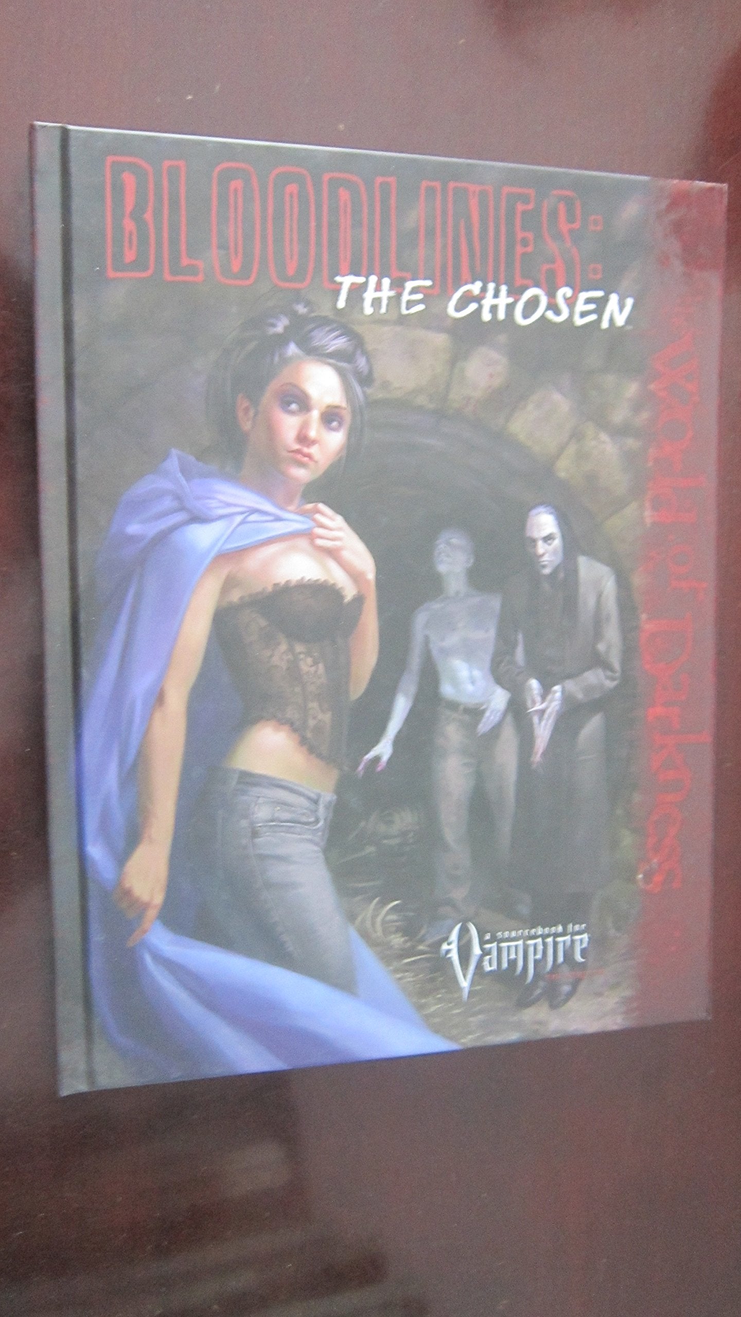 Bloodlines: The Chosen (Vampire Bloodlines, Band 3) Leisure & Fun