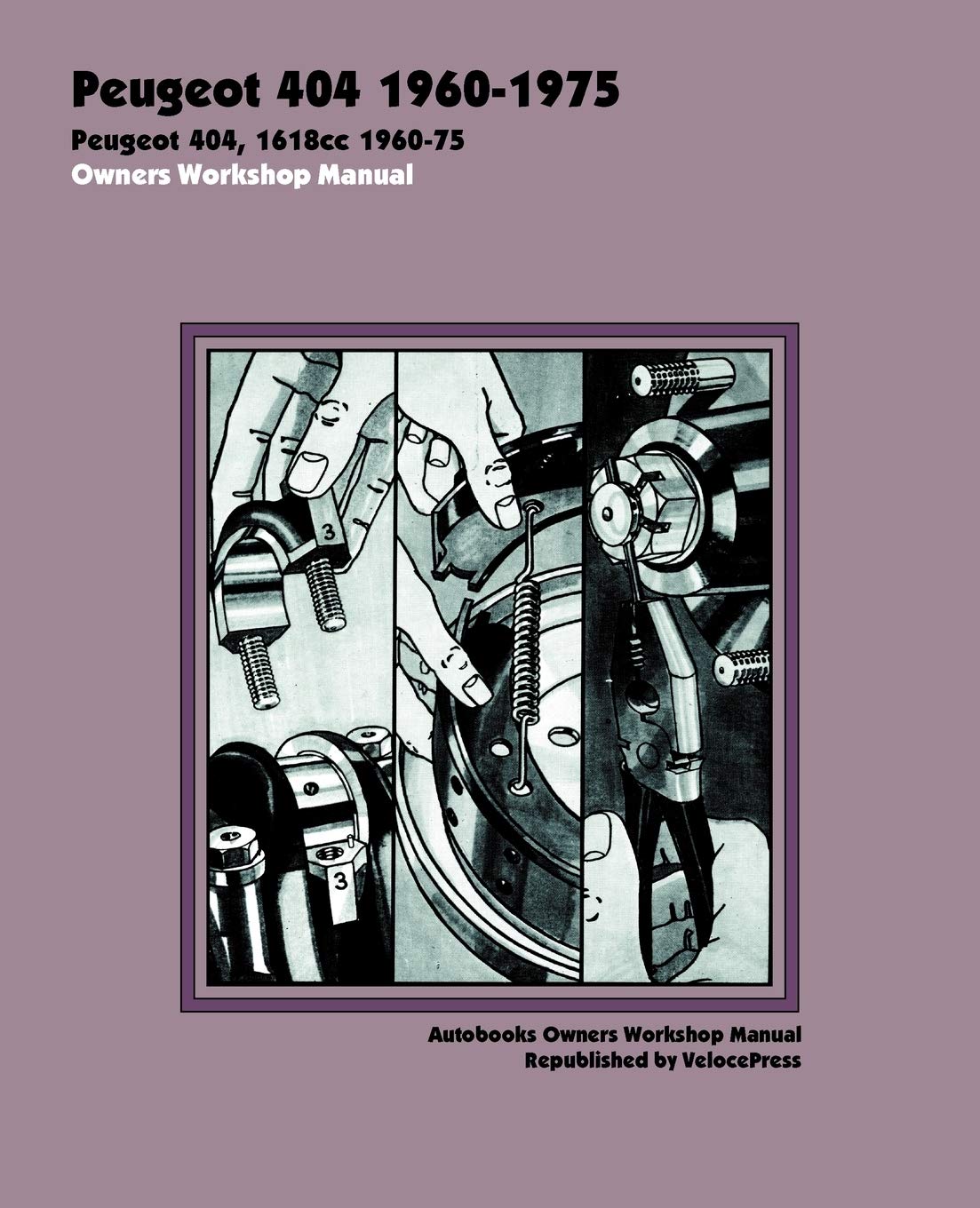 Peugeot 404 1960-75 Owners Workshop Manual Leisure, Home & Garden