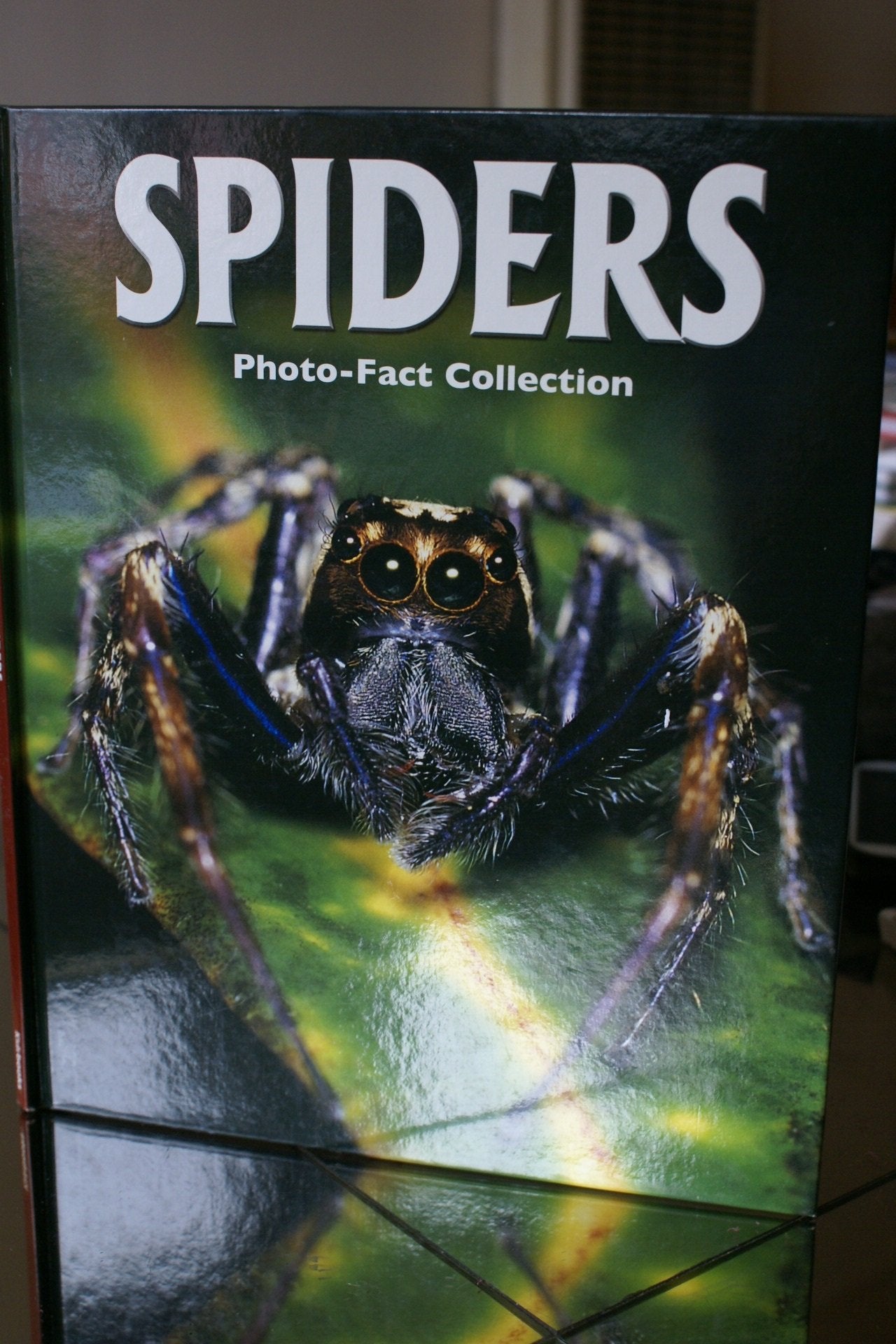 Spiders (Photo-Fact Collection Series) Books