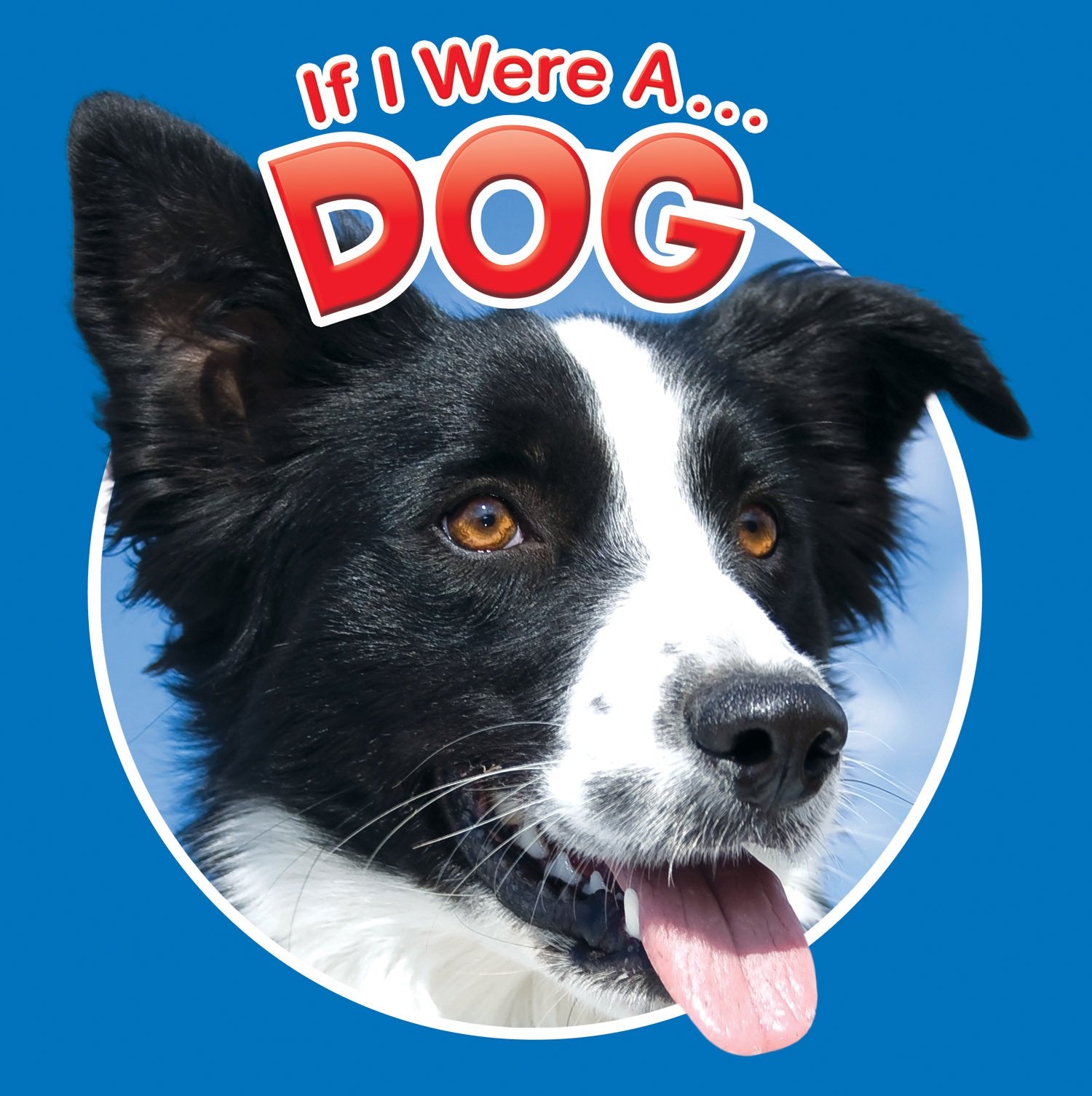 If I Were A Dog (Children's Board Book) Children's books