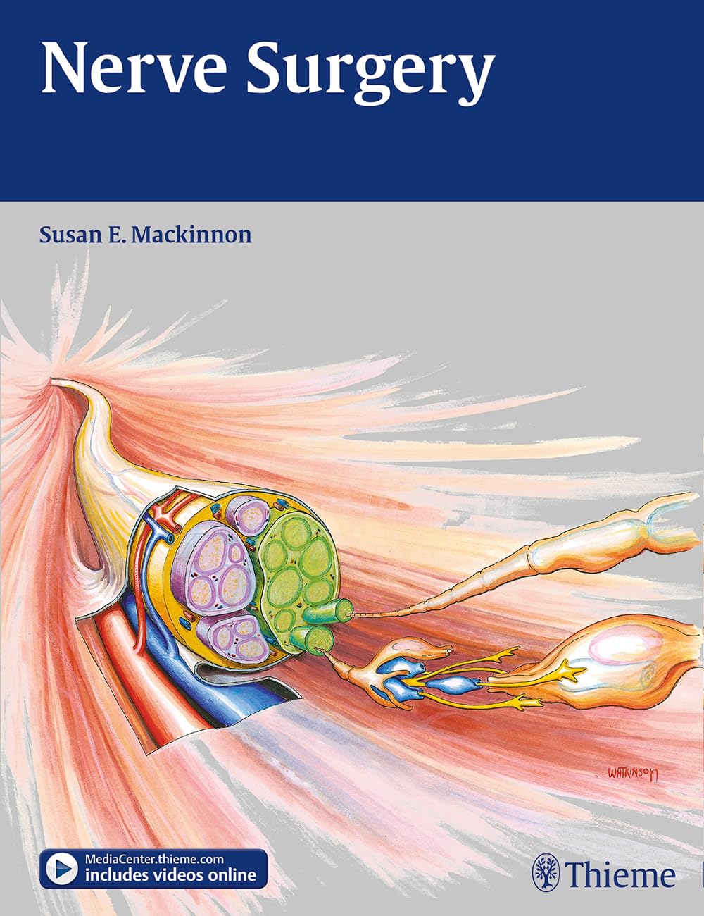 Nerve Surgery: Incl. videos online Medicine