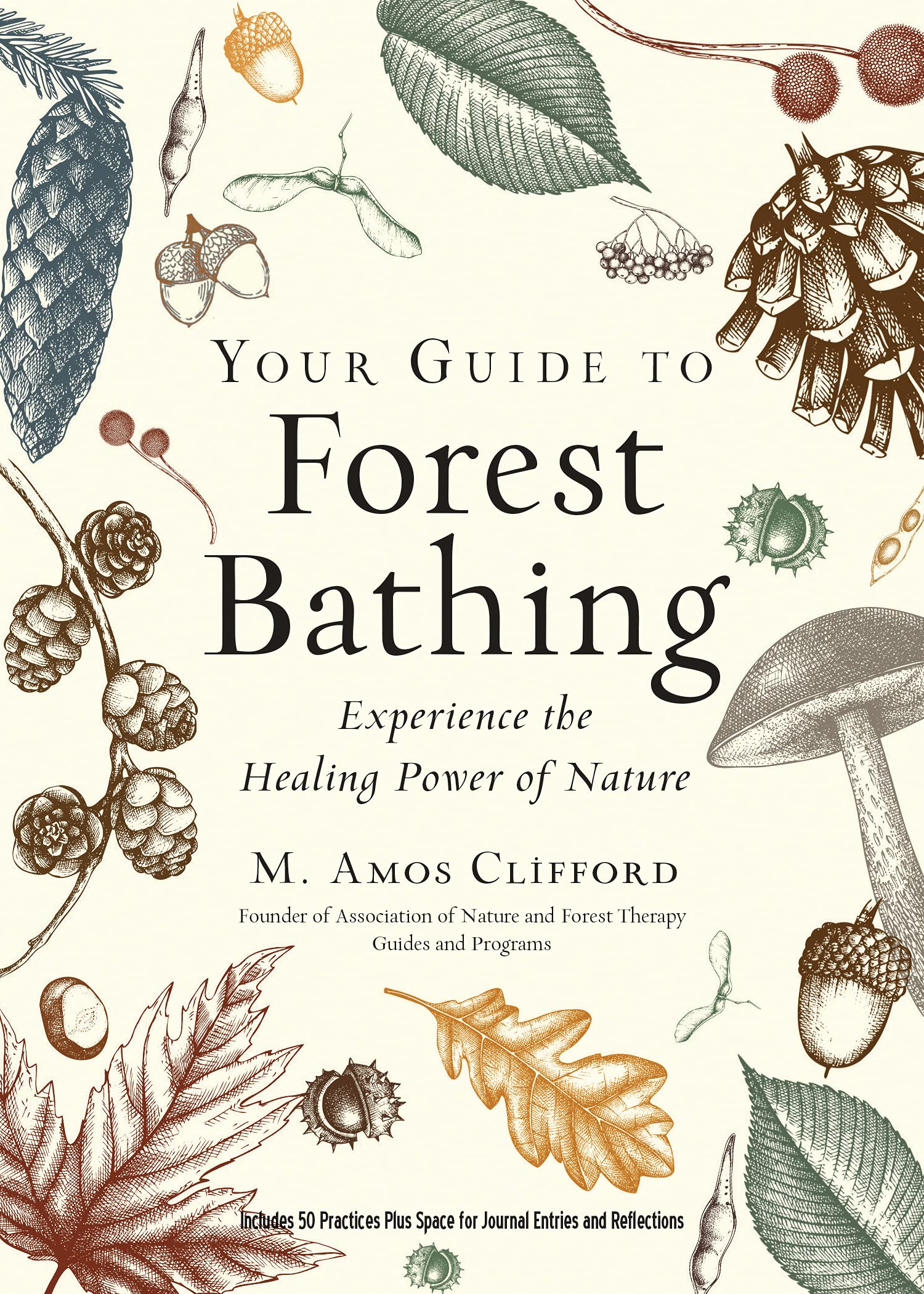 Your Guide to Forest Bathing: Experience the Healing Power of Nature Mathematics