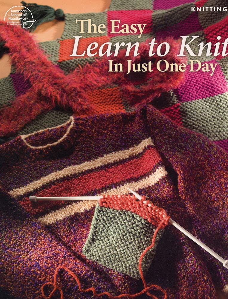 The Easy Learn to Knit in Just One Day Hobbies & Crafts