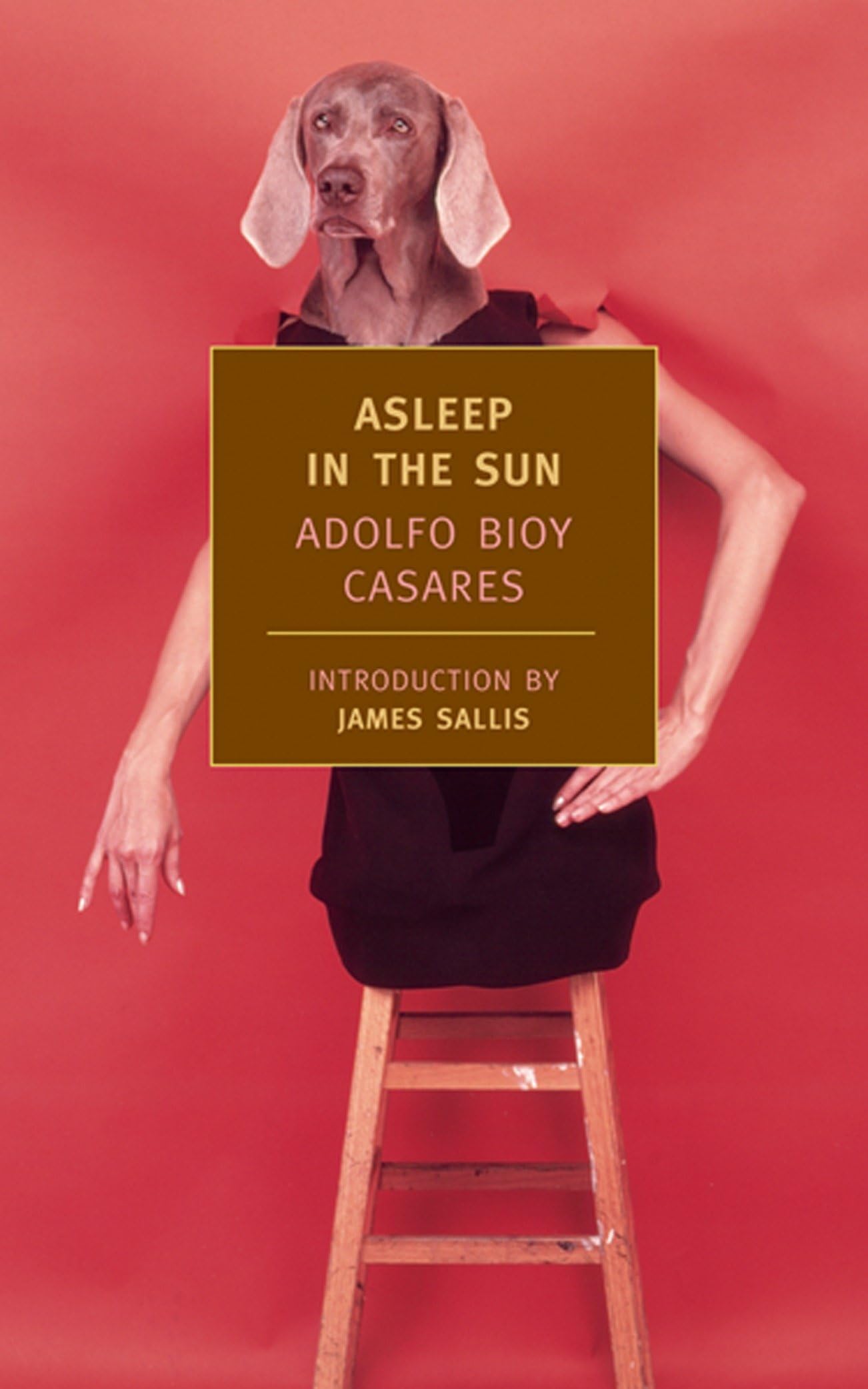 Asleep in the Sun (New York Review Books Classics) Humour & Satire