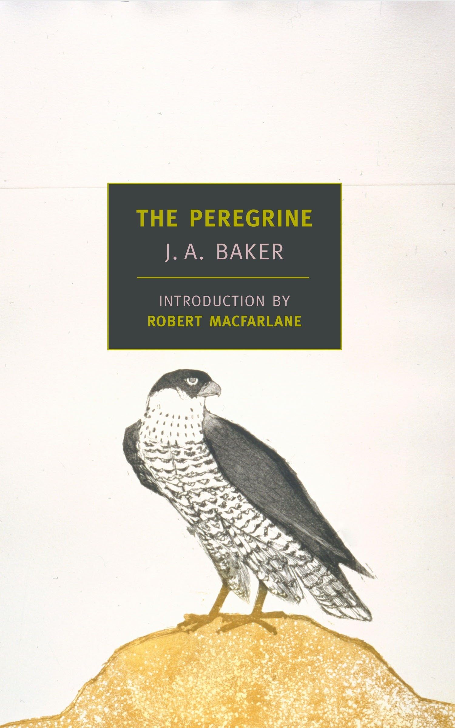 Product Image: The Peregrine