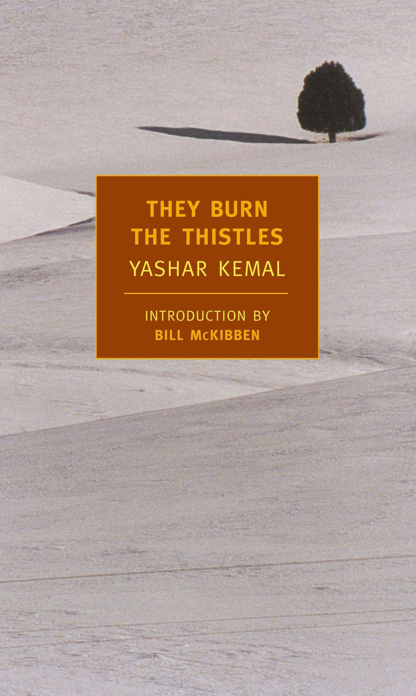 They Burn the Thistles (New York Review Books Classics) Contemporary literature