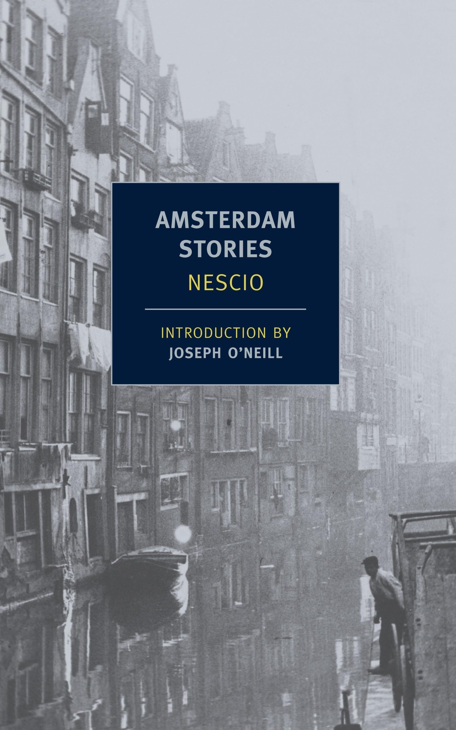 Amsterdam Stories (New York Review Books Classics) Contemporary literature