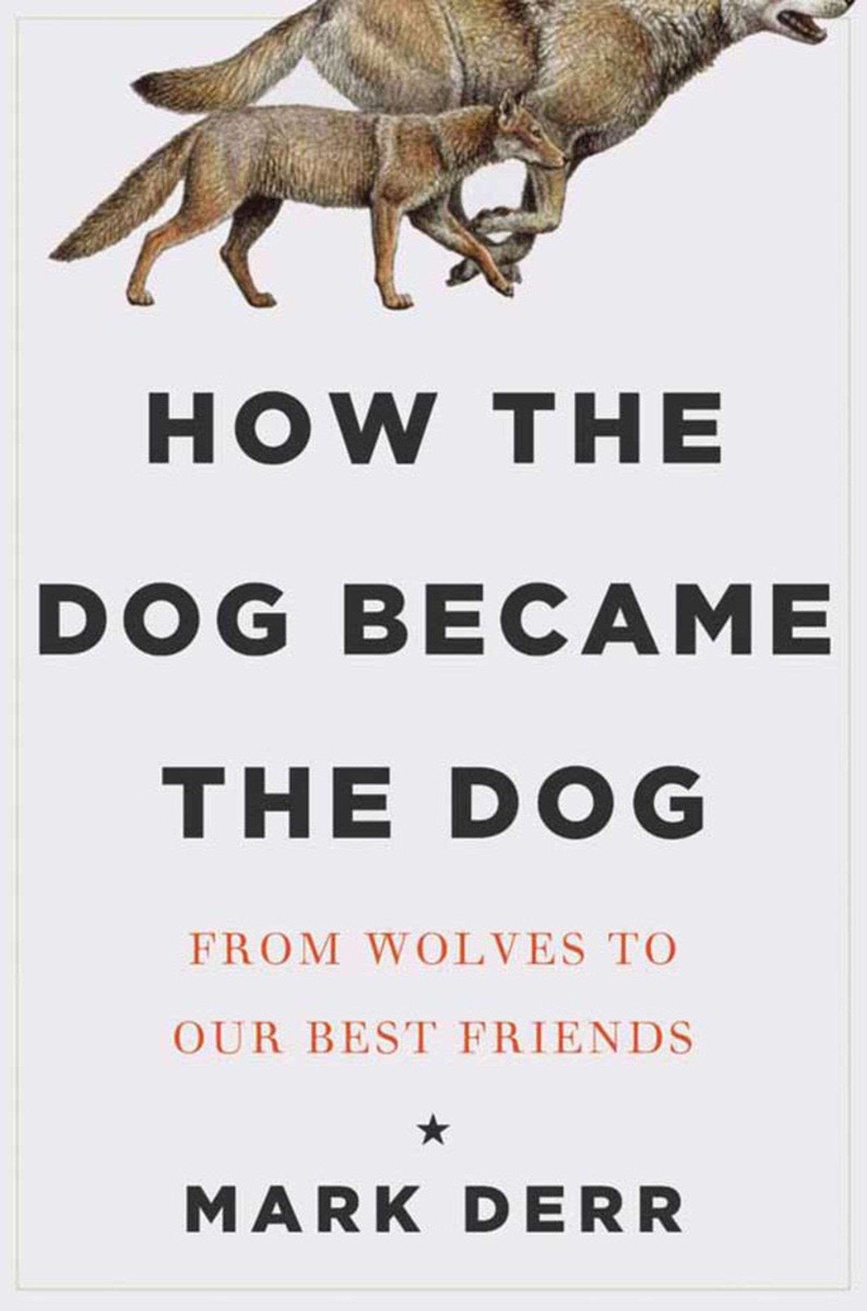 How the Dog Became the Dog: From Wolves to Our Best Friends Mathematics