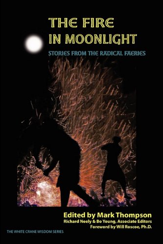 The Fire in Moonlight: Stories from the Radical Faeries 1975-2010 book