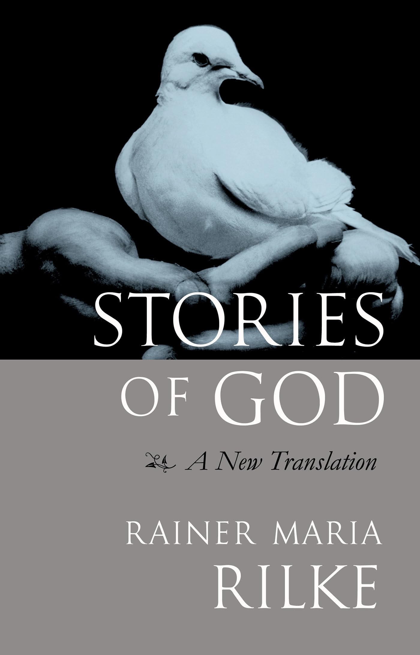 Stories of God: A New Translation book