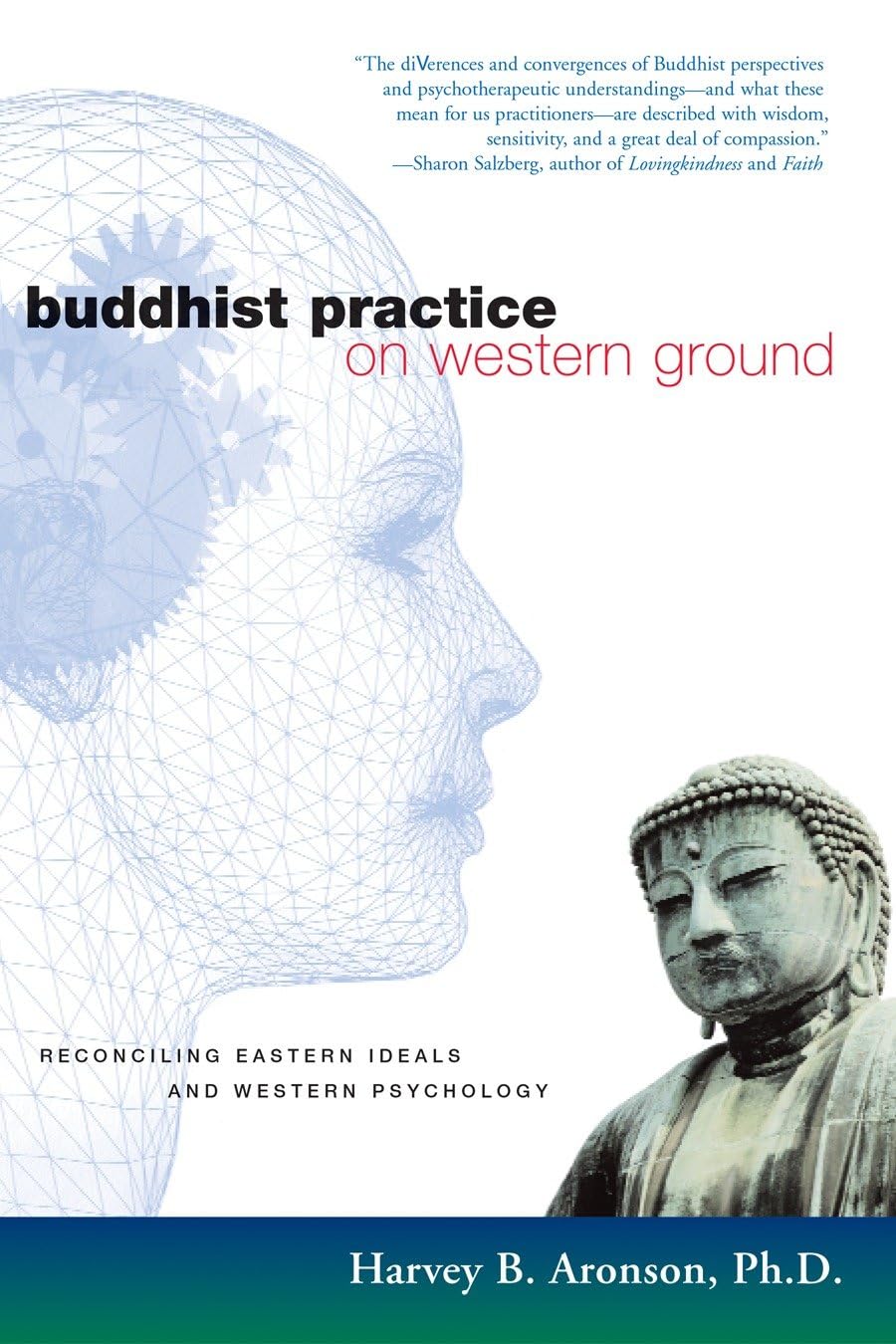 Product Image: Buddhist Practice on Western Ground