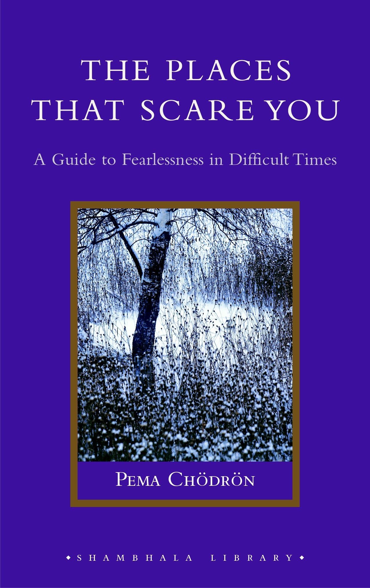 The Places That Scare You: A Guide to Fearlessness in Difficult Times (Shambhala Library) Lifestyle