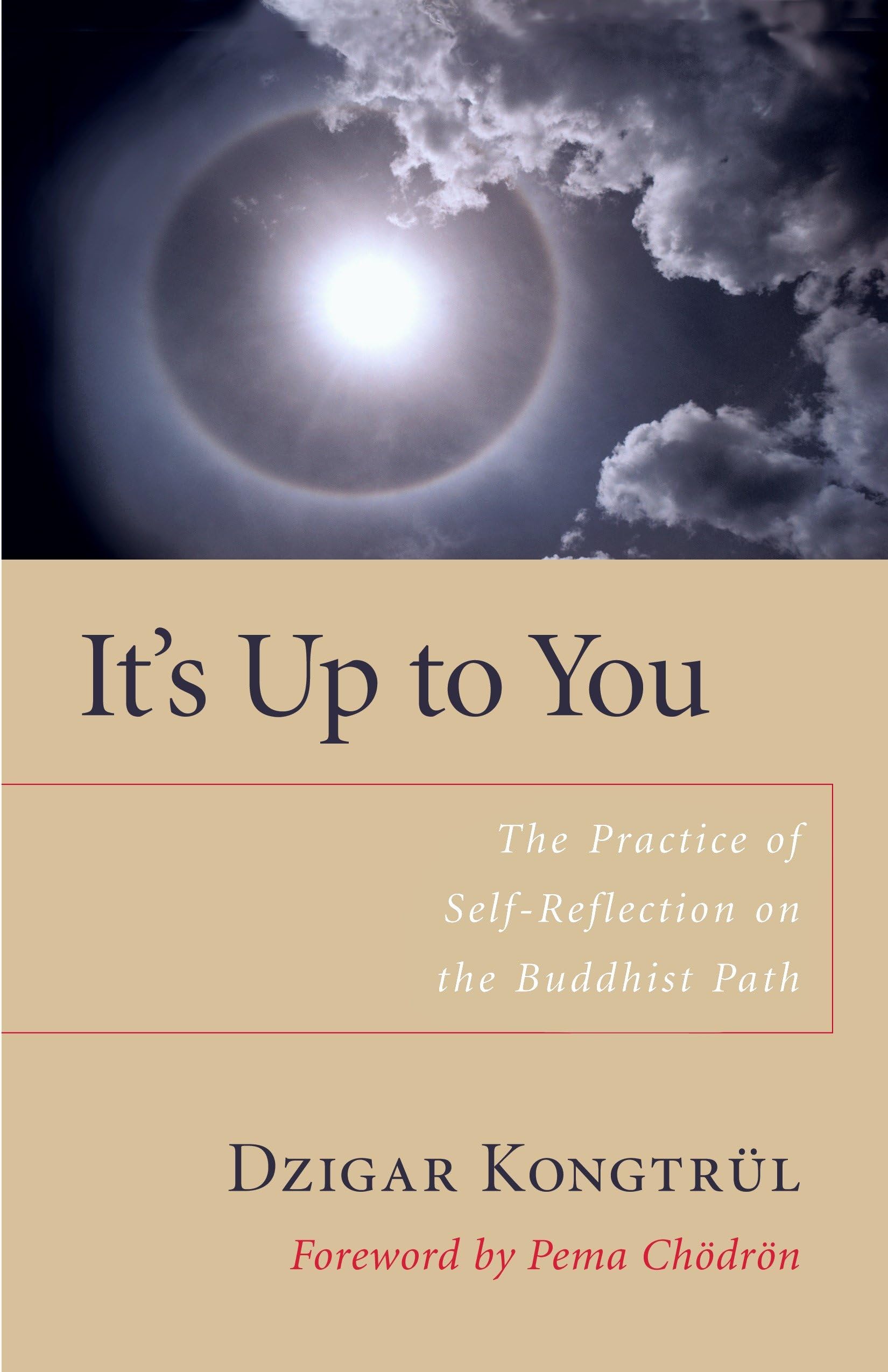 It's Up to You: The Practice of Self-Reflection on the Buddhist Path Social Sciences