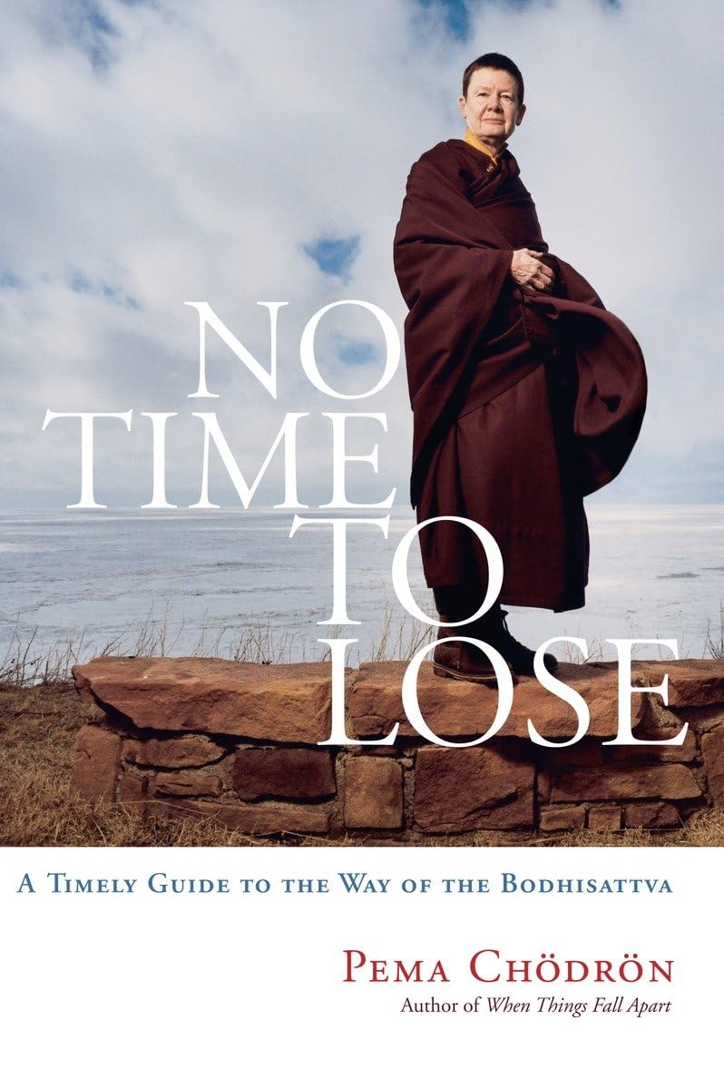 No Time to Lose: A Timely Guide to the Way of the Bodhisattva Social Sciences