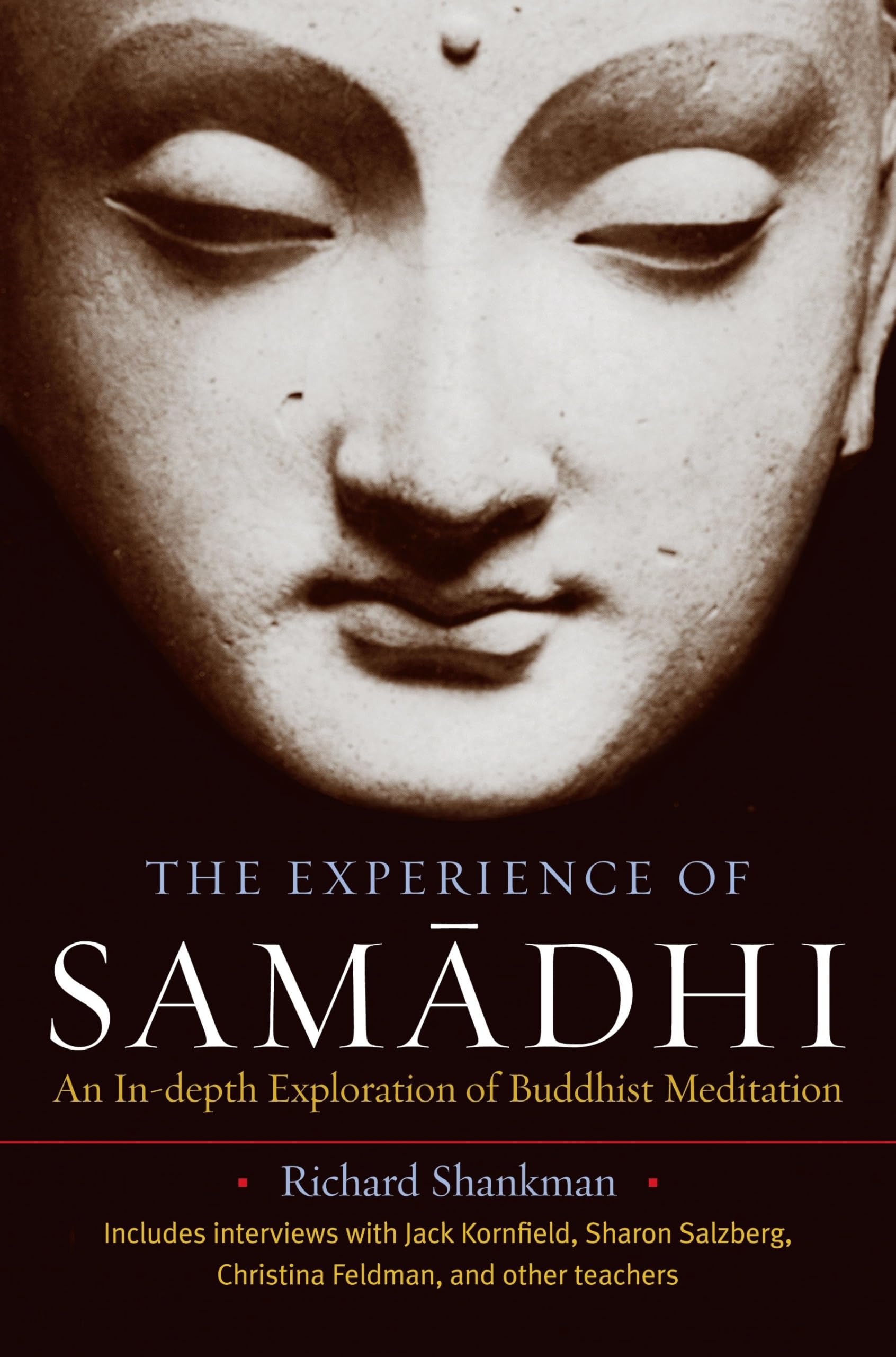 The Experience of Samadhi: An In-depth Exploration of Buddhist Meditation Social Sciences