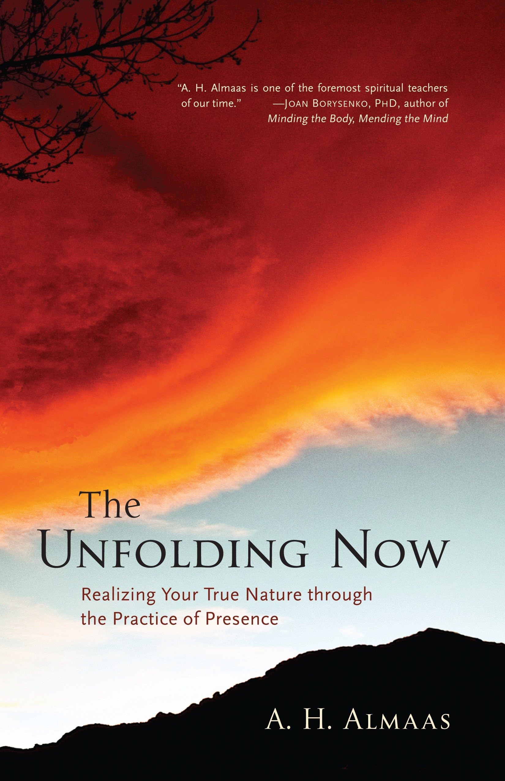 Product Image: The Unfolding Now