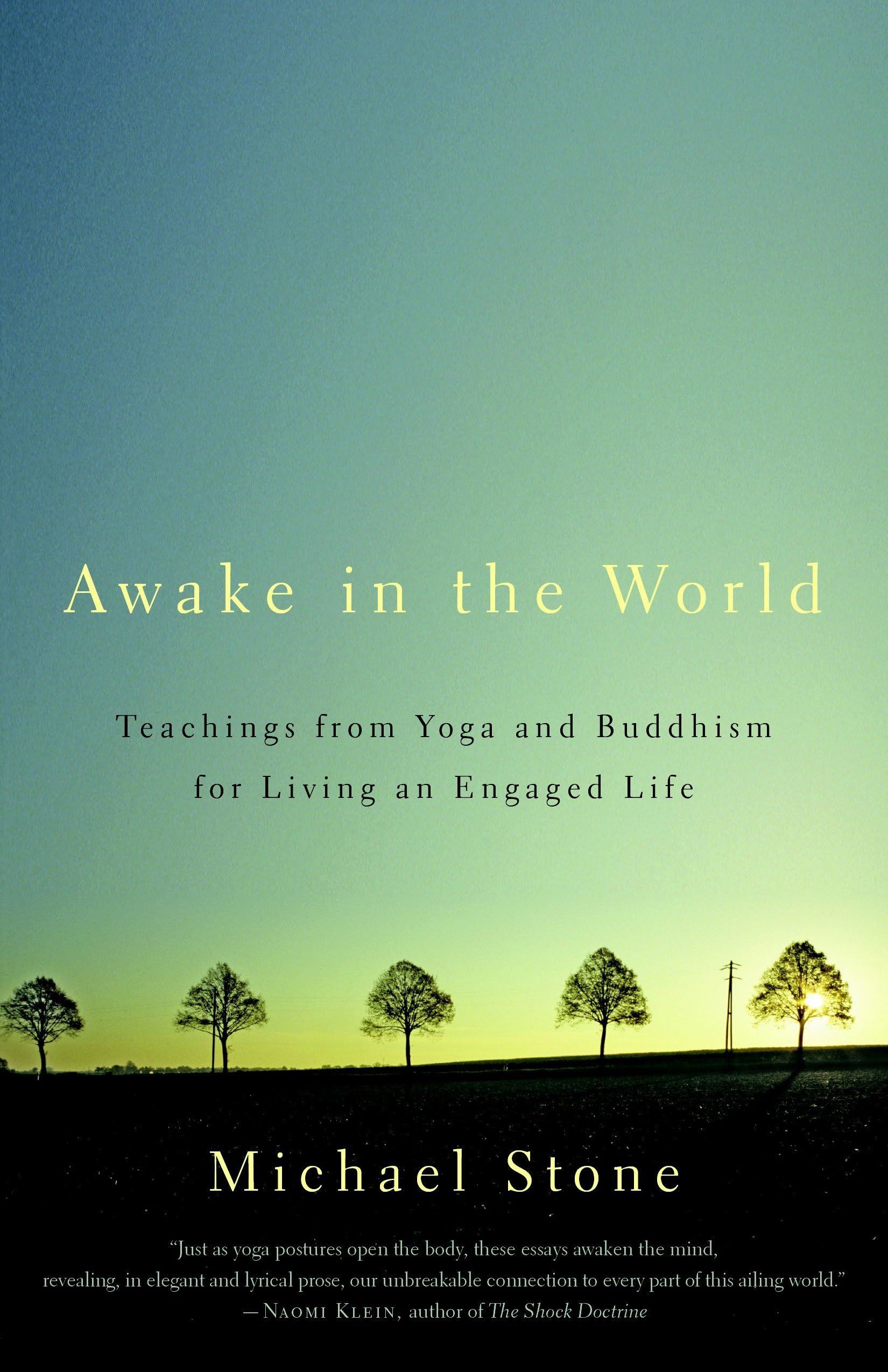 Product Image: Awake in the World