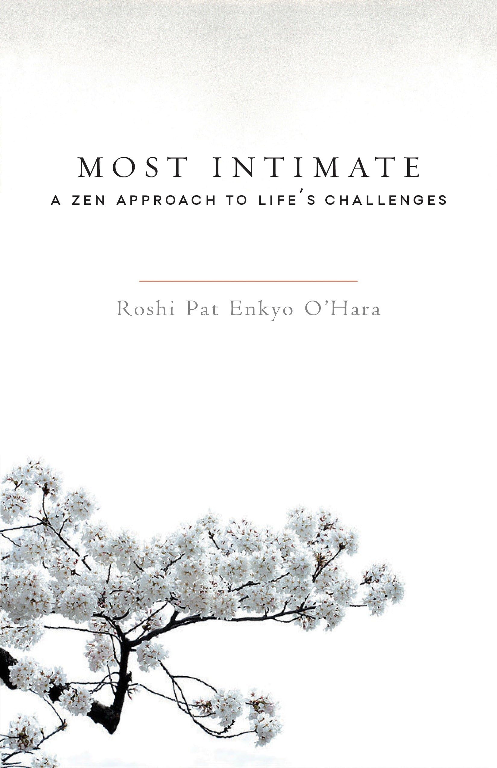 Most Intimate: A Zen Approach to Life's Challenges book
