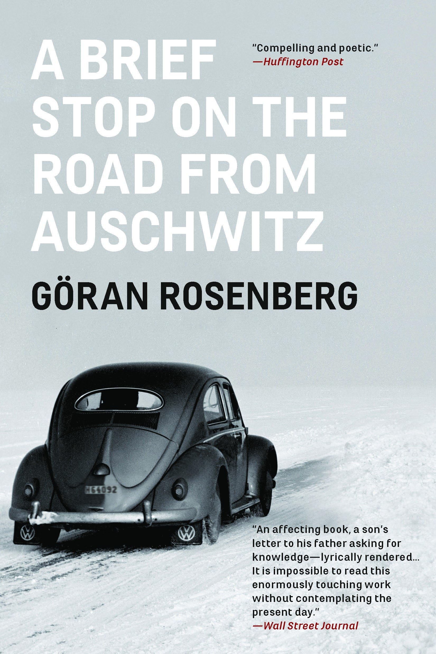 A Brief Stop on the Road From Auschwitz: A Memoir Art & Literature