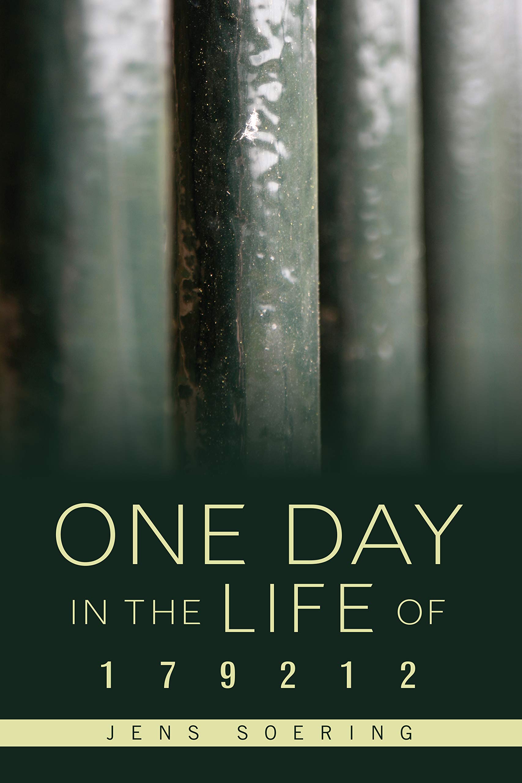One Day in the Life of 179212: Notes from an American Prison Law