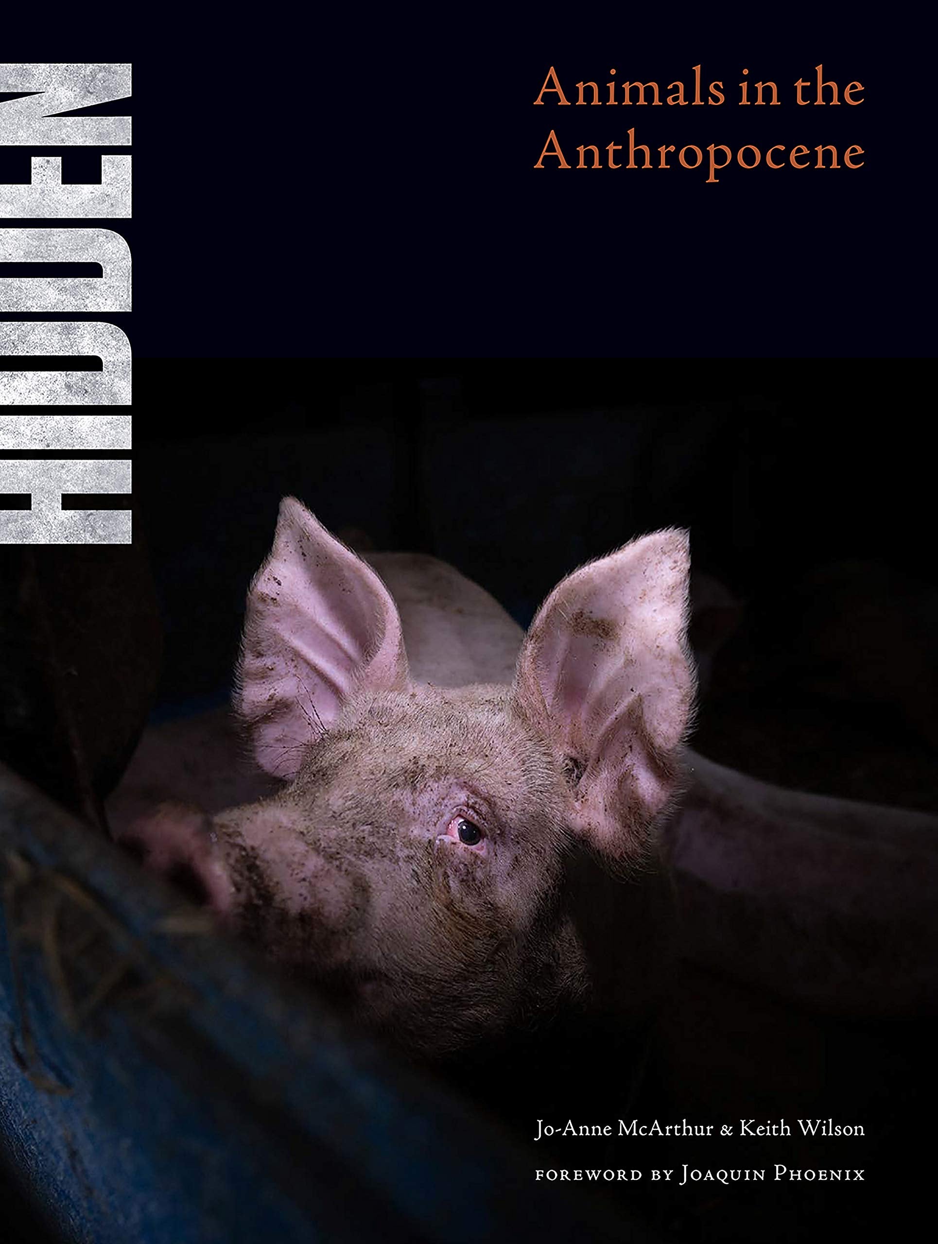 Hidden: Animals in the Anthropocene Mathematics