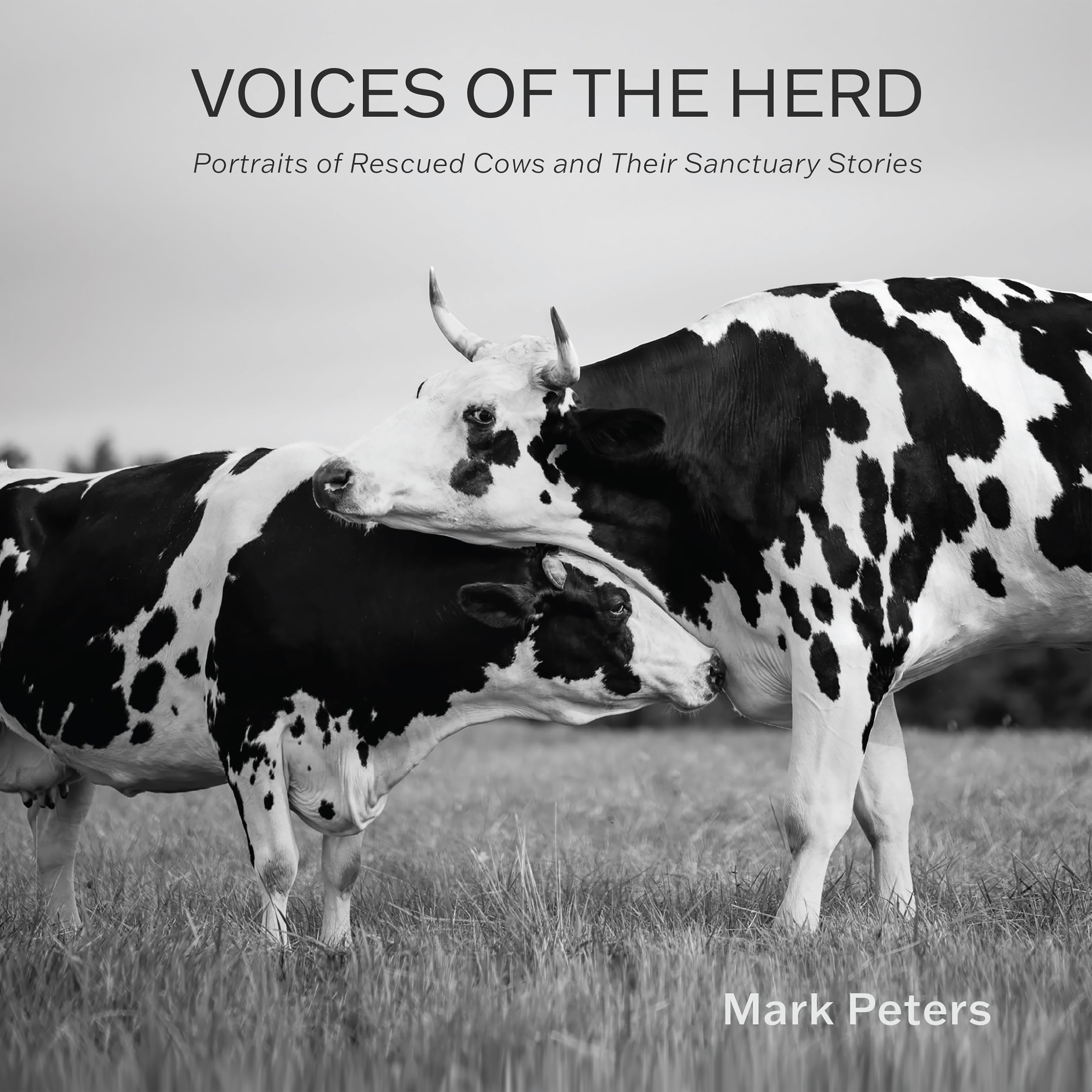 Voices of the Herd Social Sciences