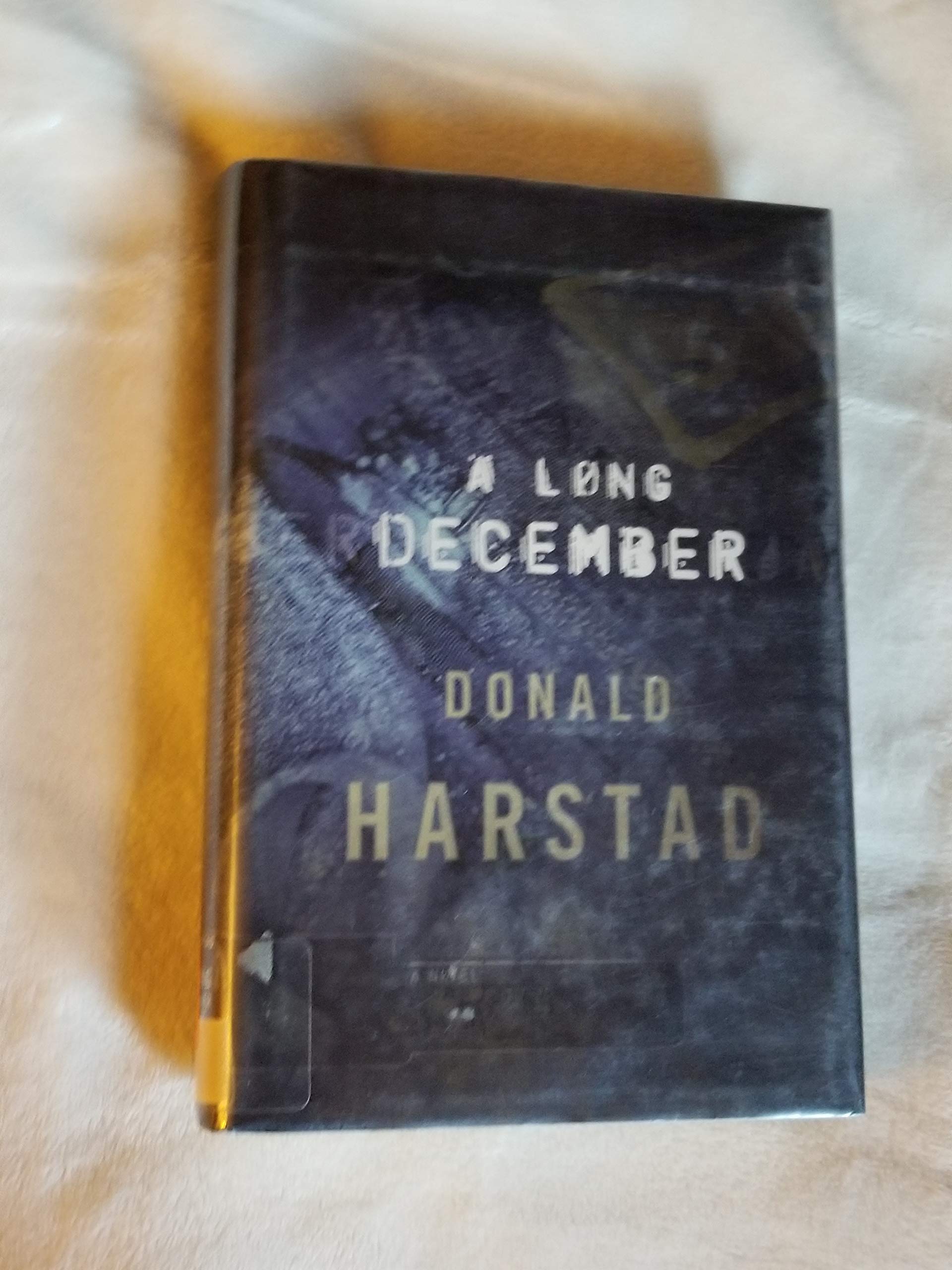 A Long December Detective & CSI