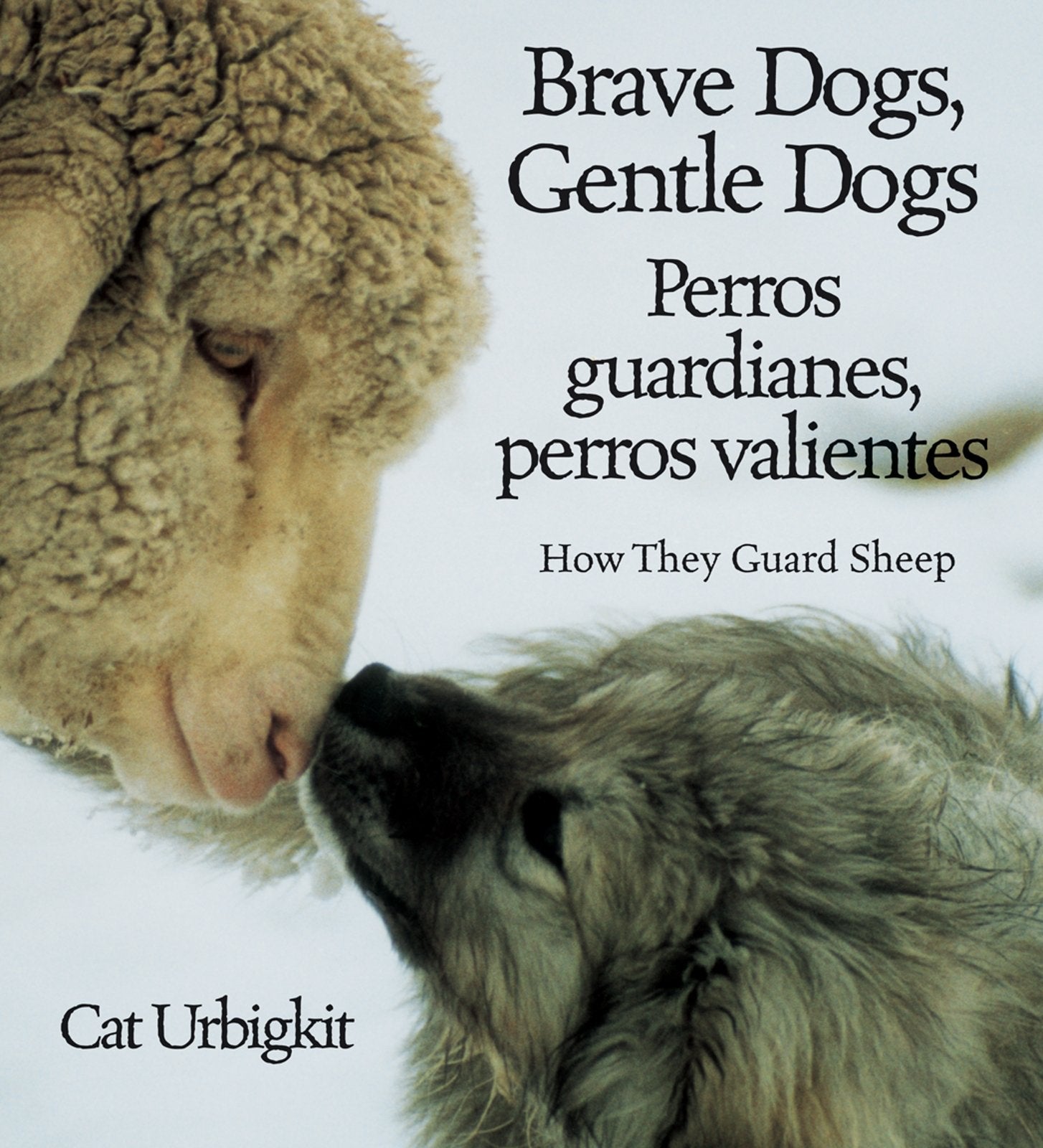 Brave Dogs, Gentle Dogs / Perros Guardianes, Perros Valientes: How They Guard Sheep Non-fiction