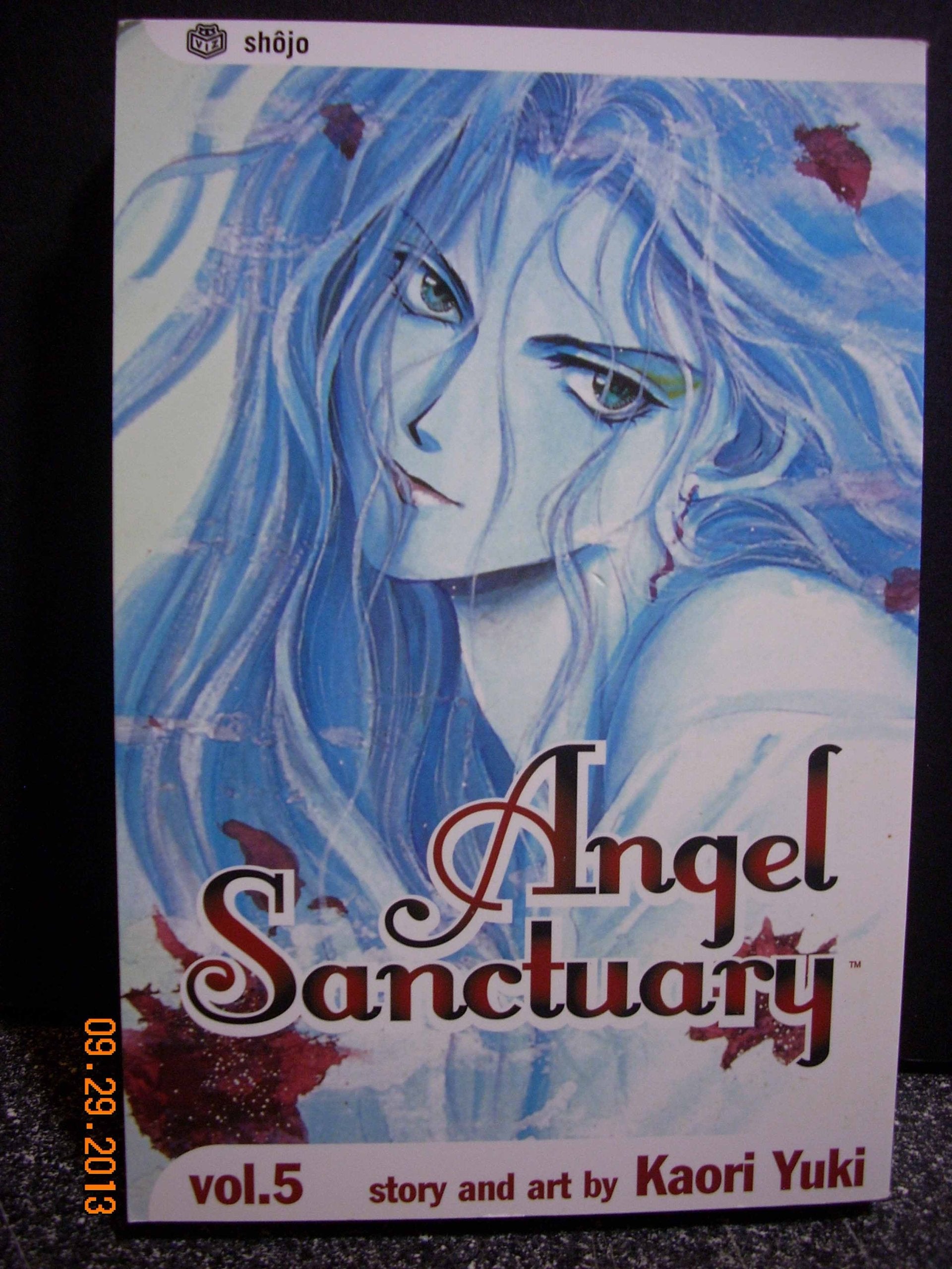 Product Image: Angel Sanctuary, Vol. 5