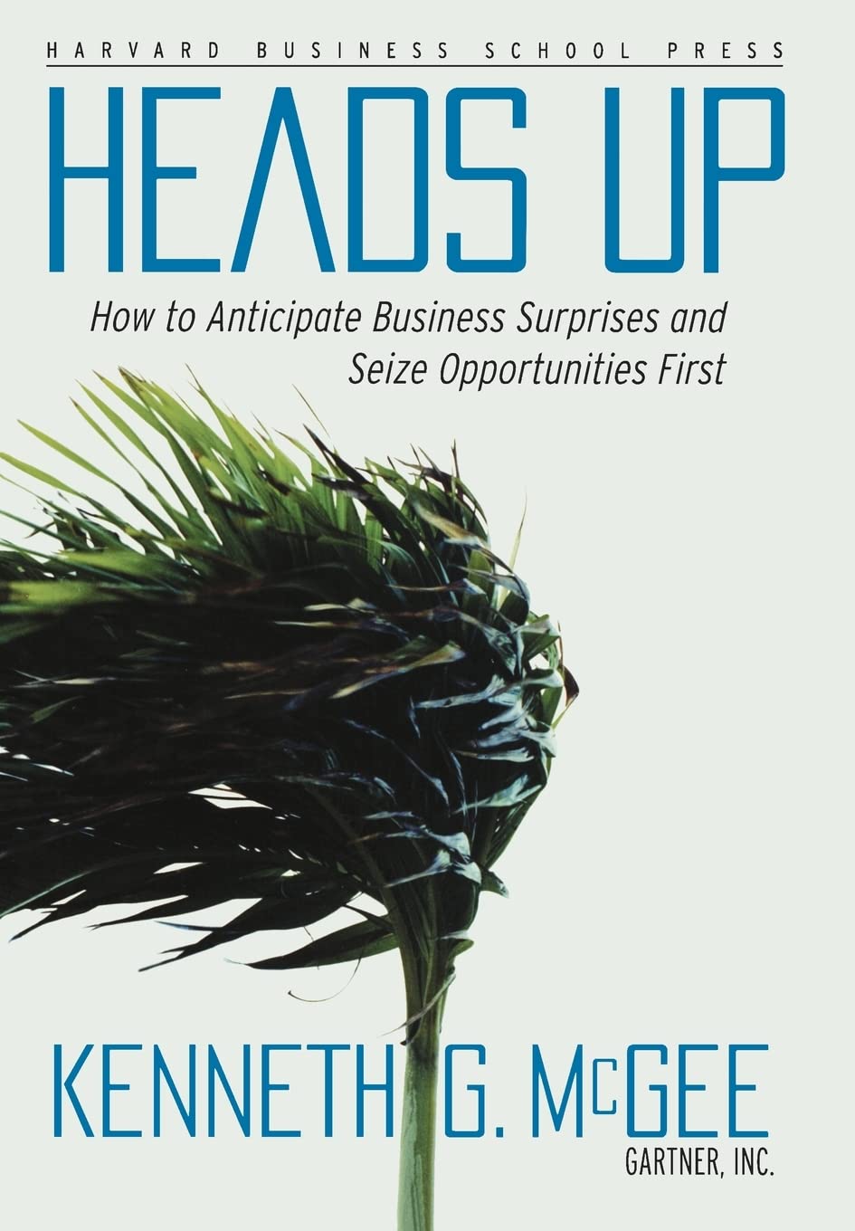 Heads Up: How to Anticipate Business Surprises and Seize Opportunities First Business, Finance & Career