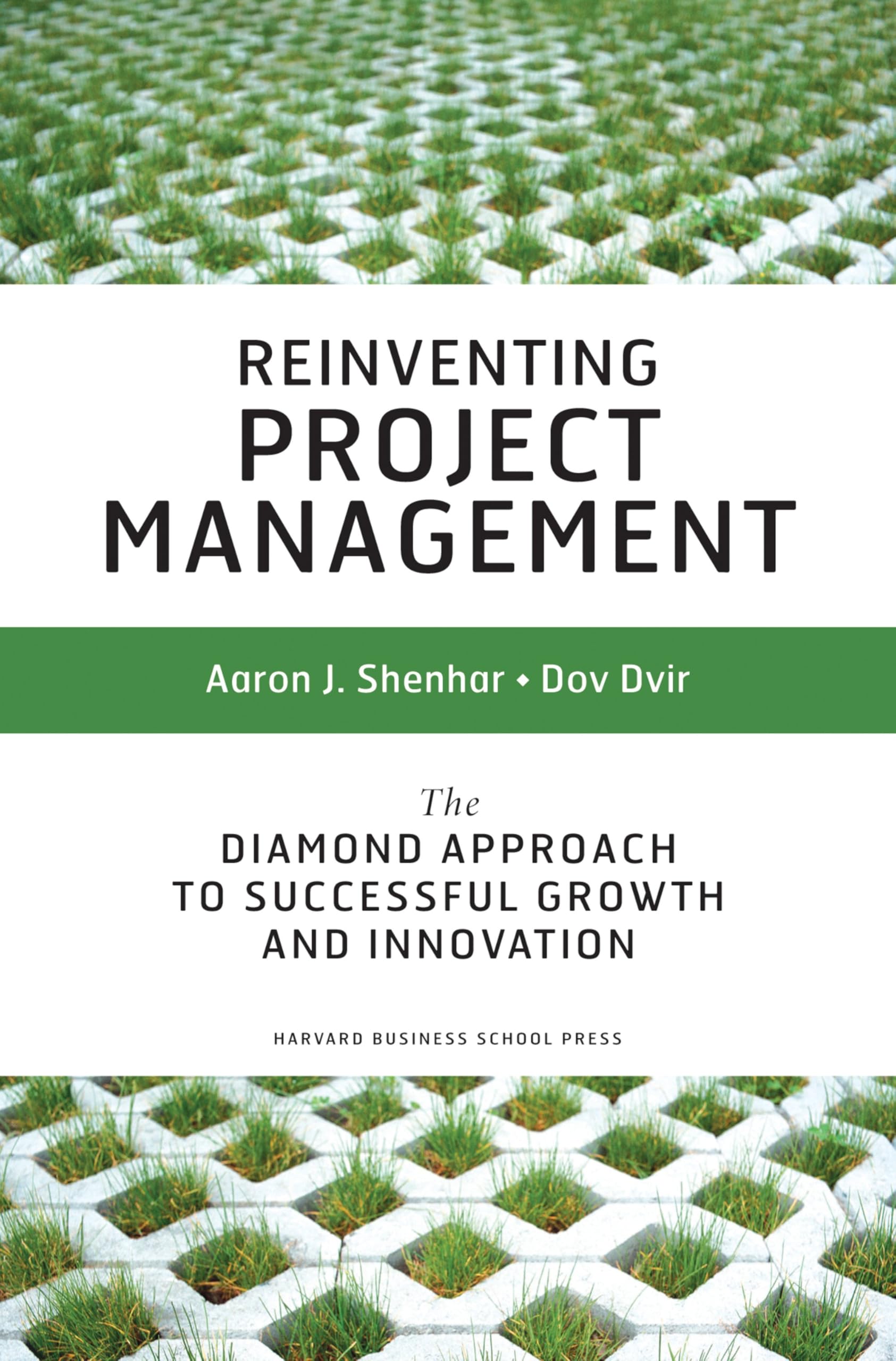 Product Image: Reinventing Project Management