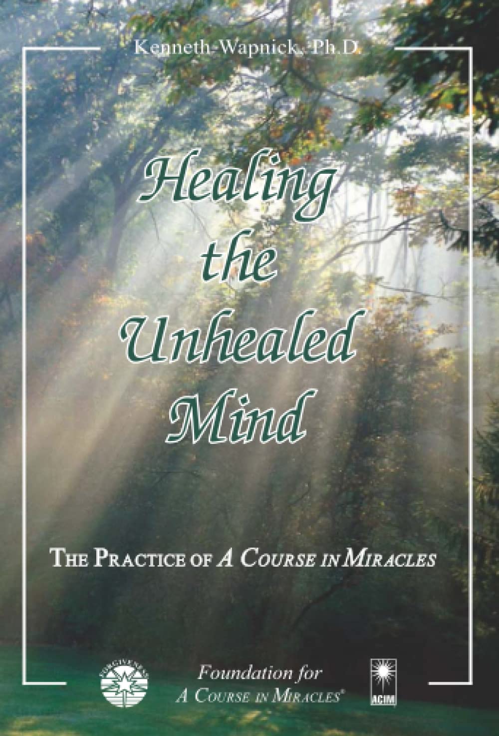 Product Image: Healing the Unhealed Mind
