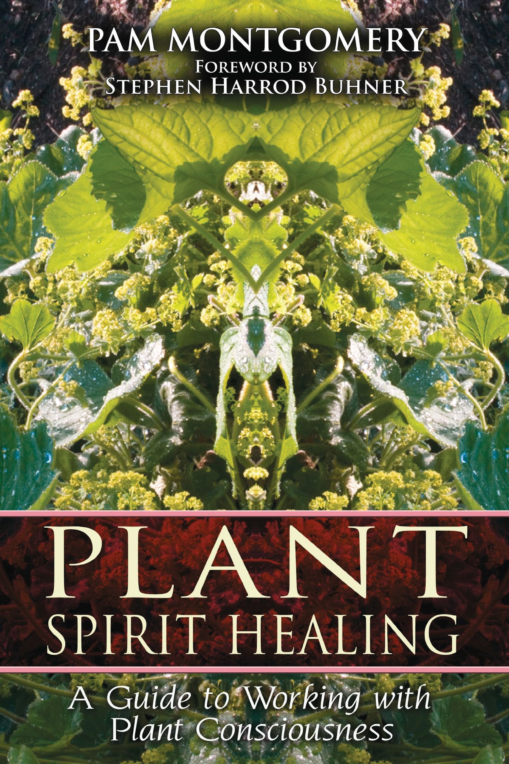 Plant Spirit Healing: A Guide to Working with Plant Consciousness Medicine