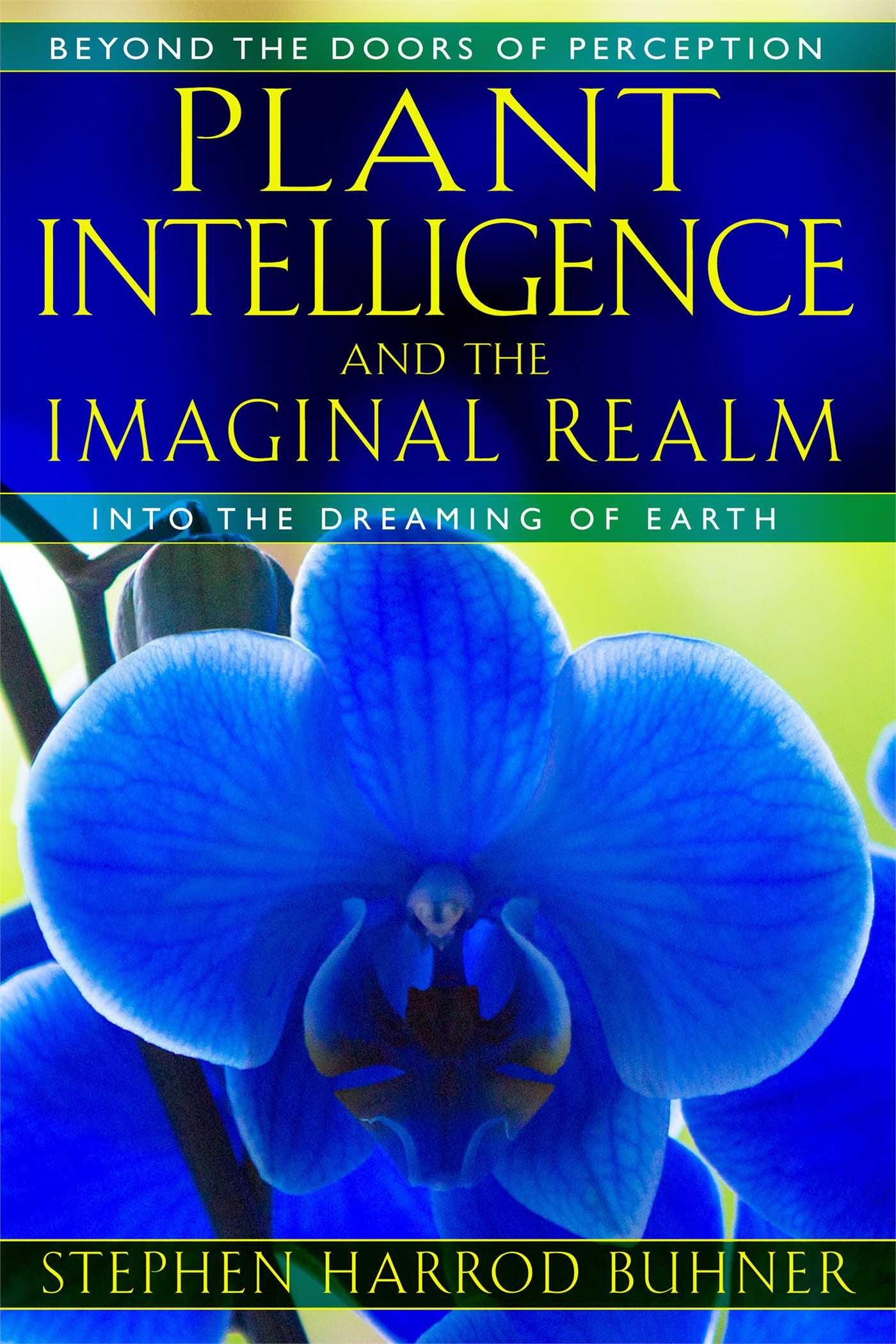 Plant Intelligence and the Imaginal Realm: Beyond the Doors of Perception into the Dreaming of Earth Mathematics
