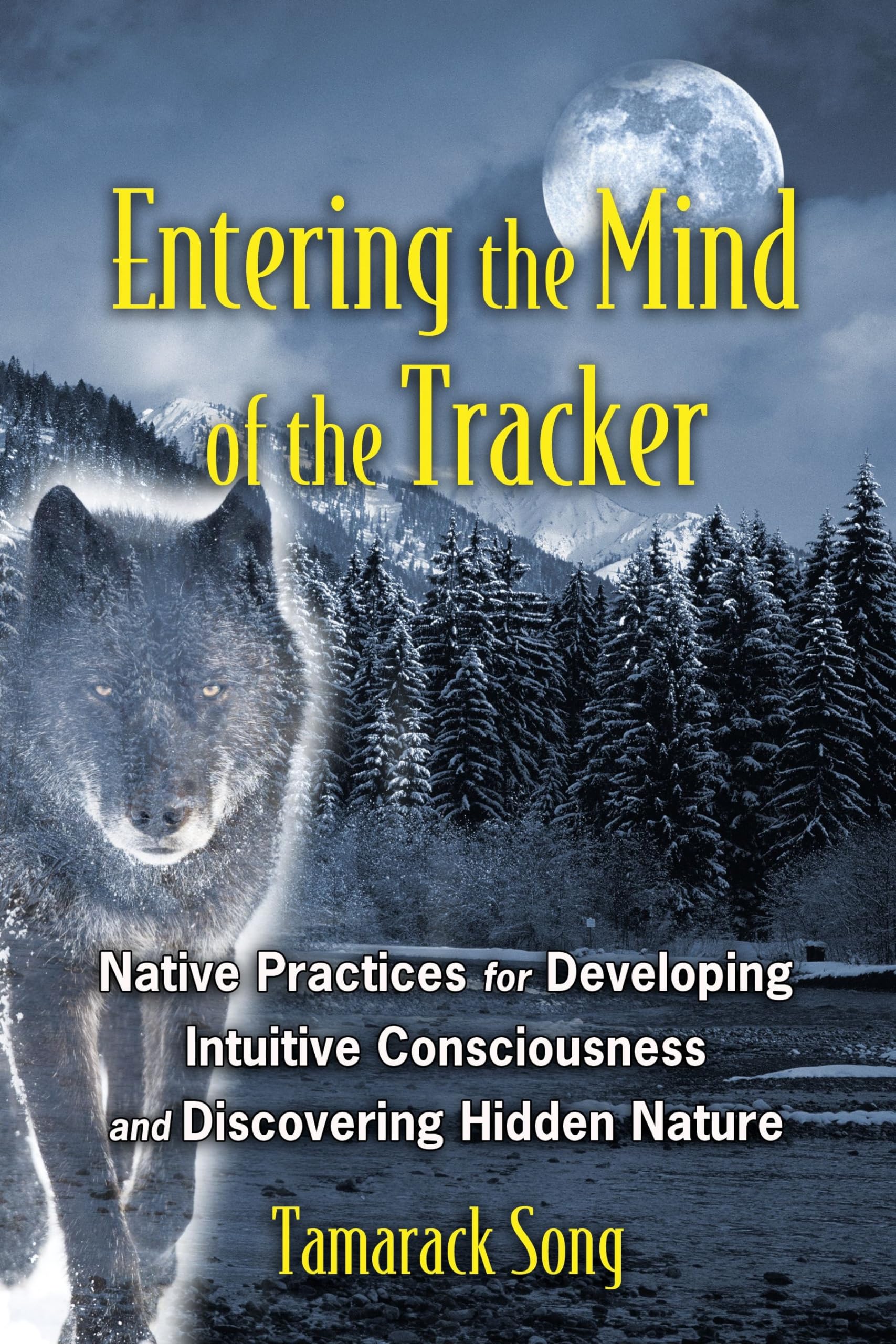 Entering the Mind of the Tracker: Native Practices for Developing Intuitive Consciousness and Discovering Hidden Nature Social Sciences