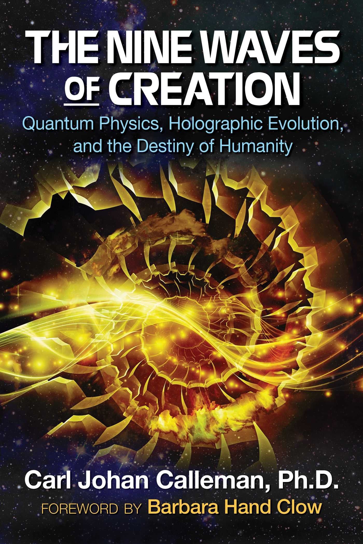 The Nine Waves of Creation: Quantum Physics, Holographic Evolution, and the Destiny of Humanity Books