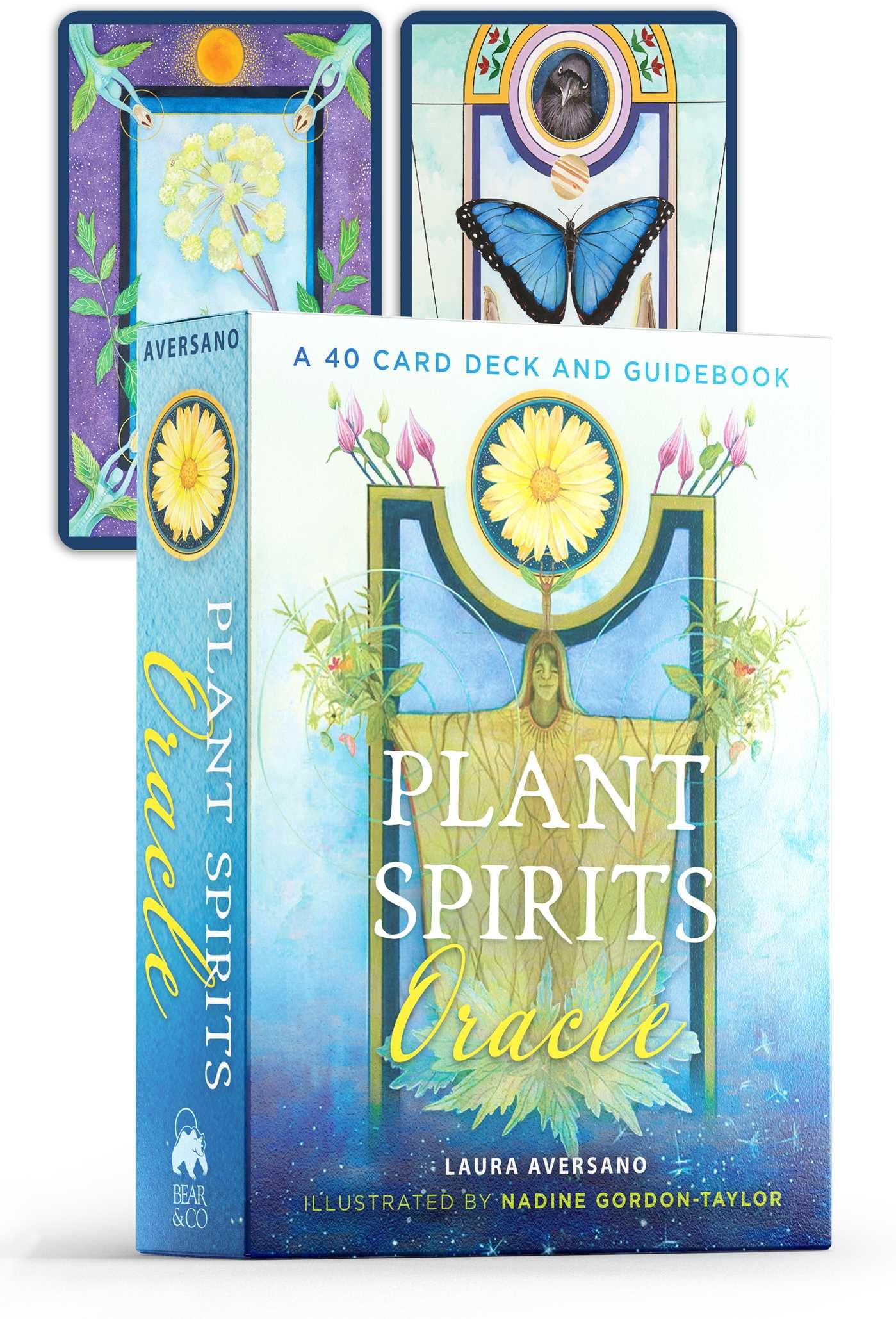 Plant Spirits Oracle: A 40-Card Deck and Guidebook Mathematics