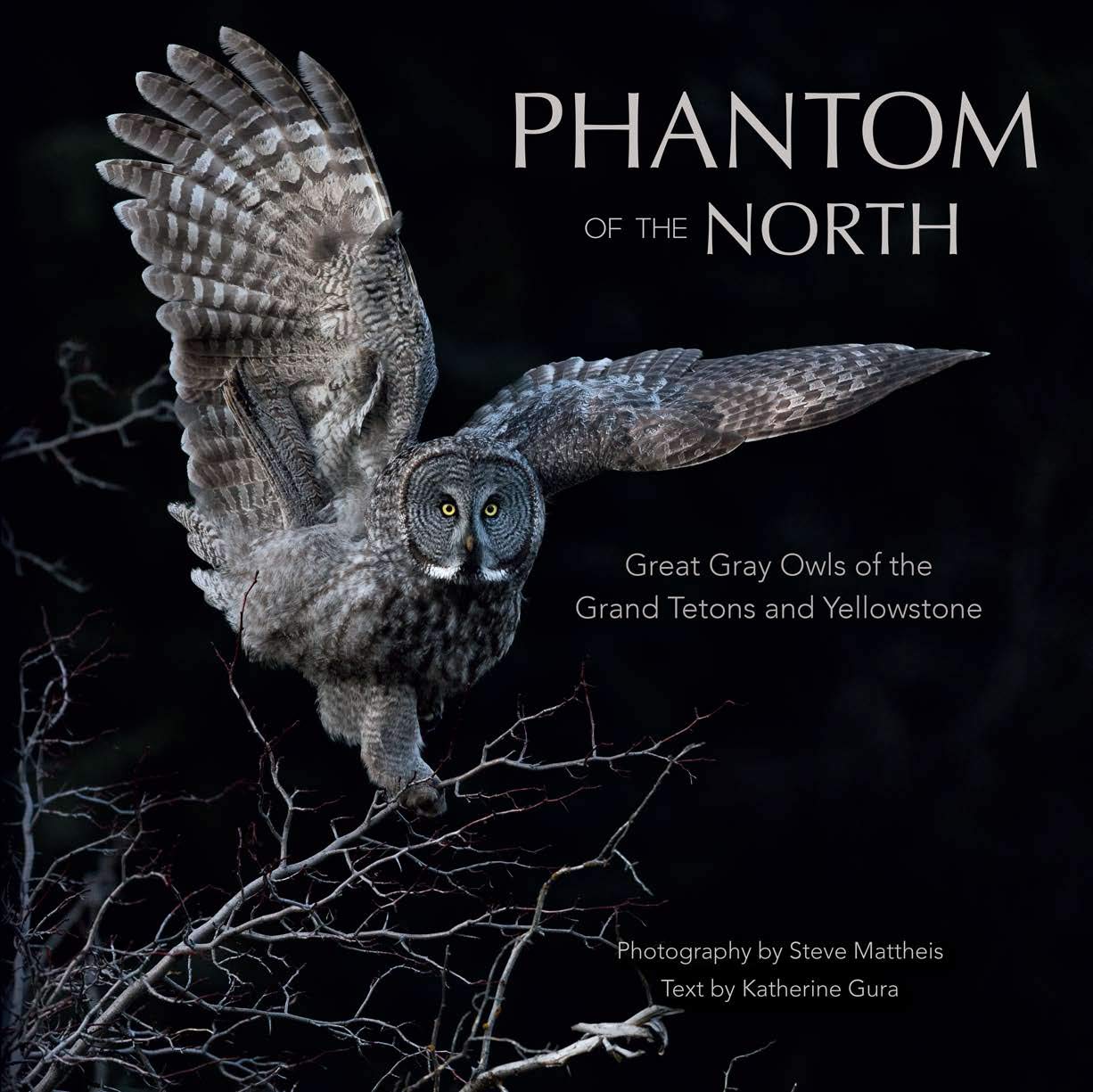 Phantom of the North: Great Gray Owls of the Grand Tetons and Yellowstone book