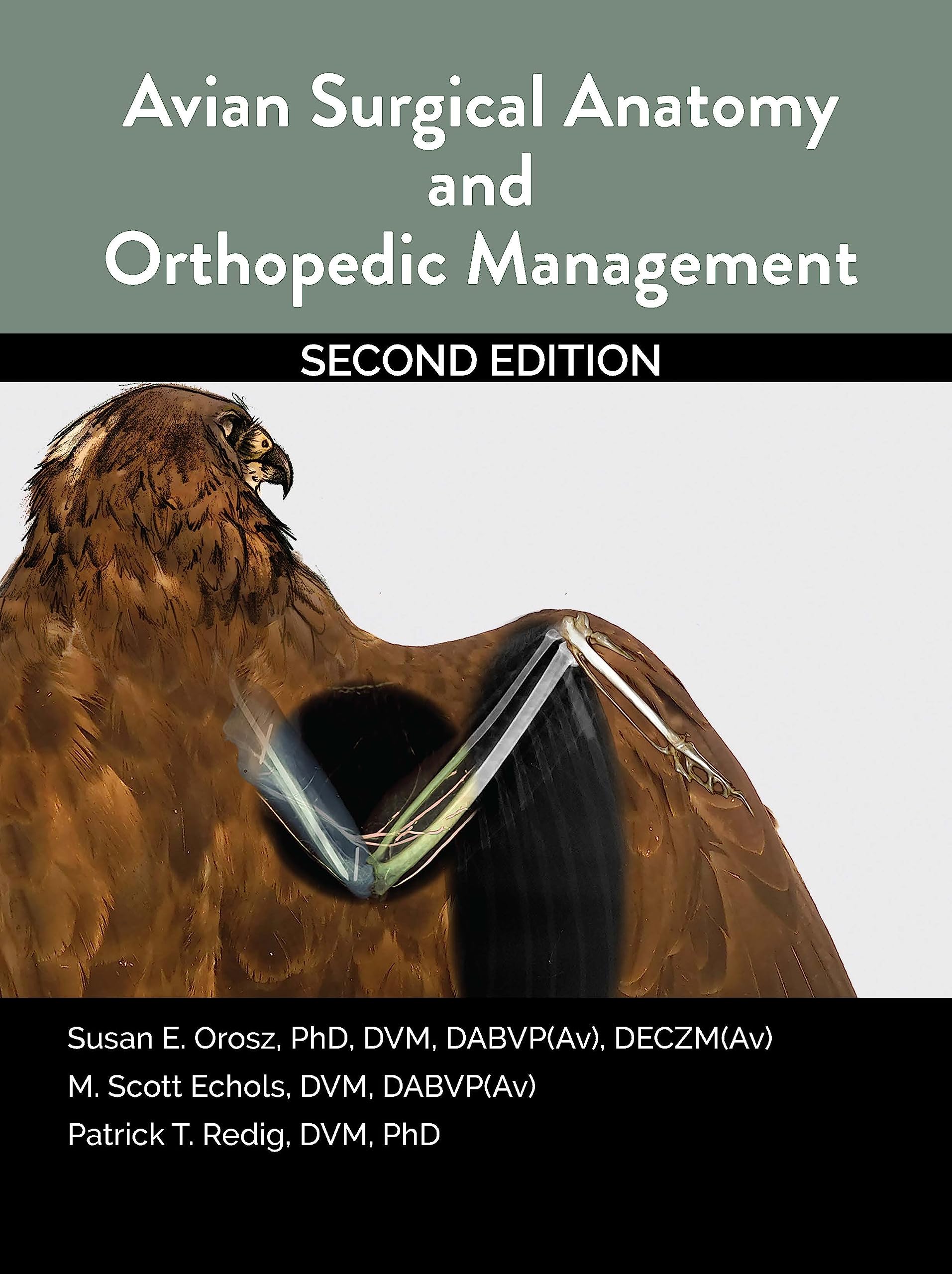 Avian Surgical Anatomy And Orthopedic Management, 2nd Edition Medicine