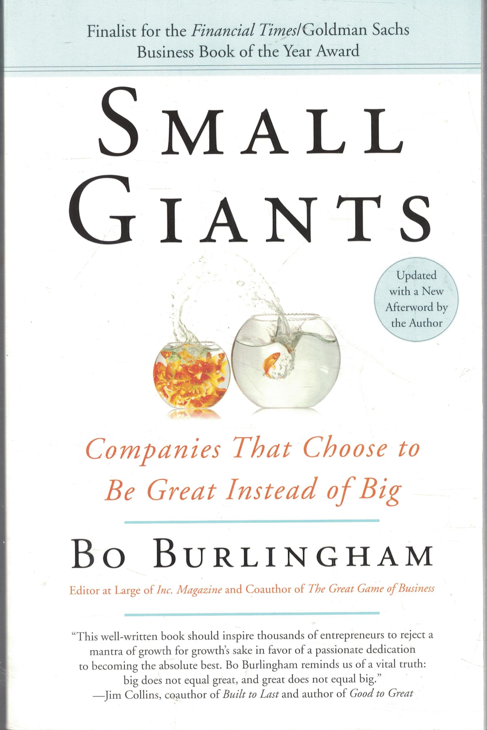 Small Giants: Companies That Choose to Be Great Instead of Big Business, Finance & Career
