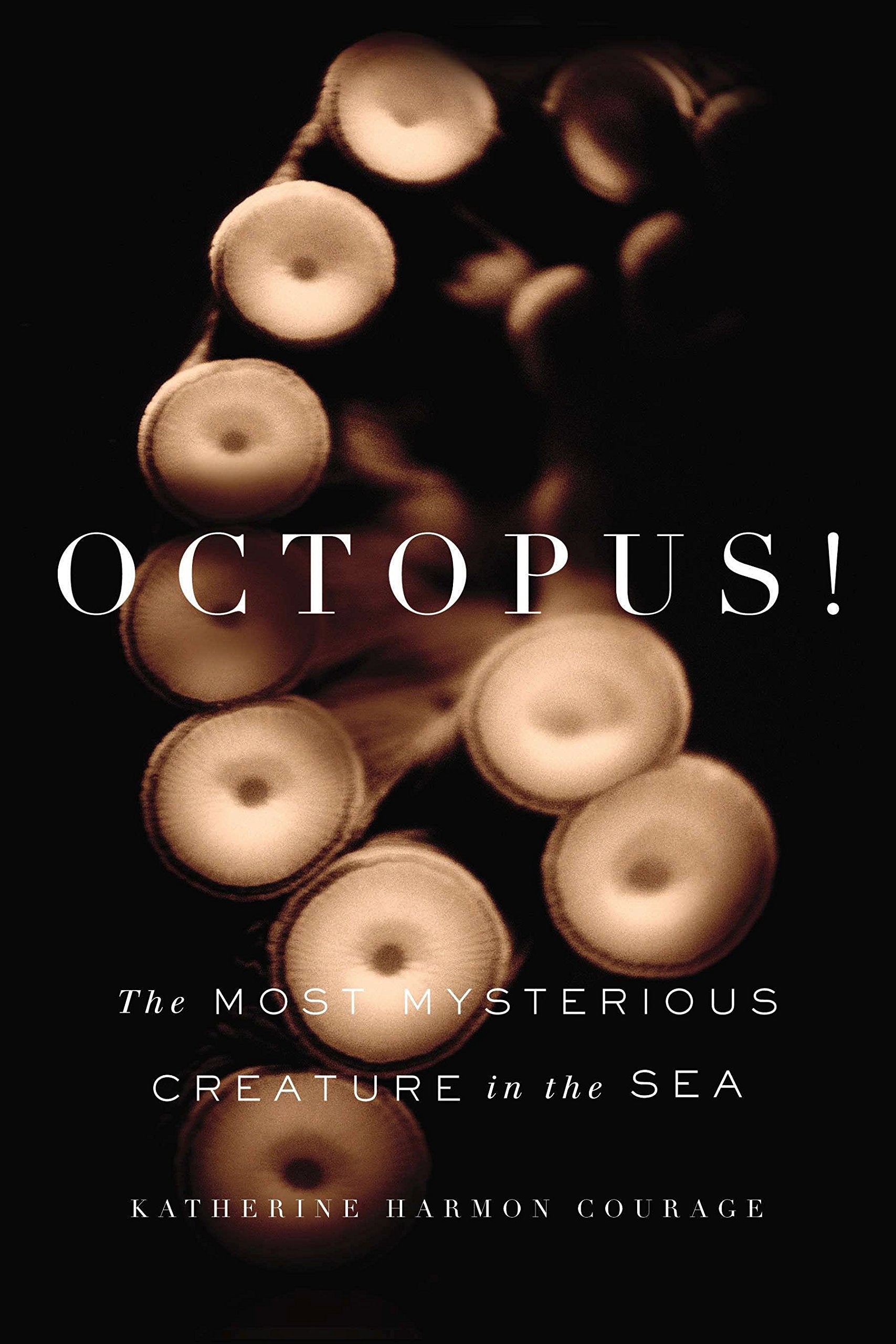 Octopus!: The Most Mysterious Creature in the Sea Business & Technology