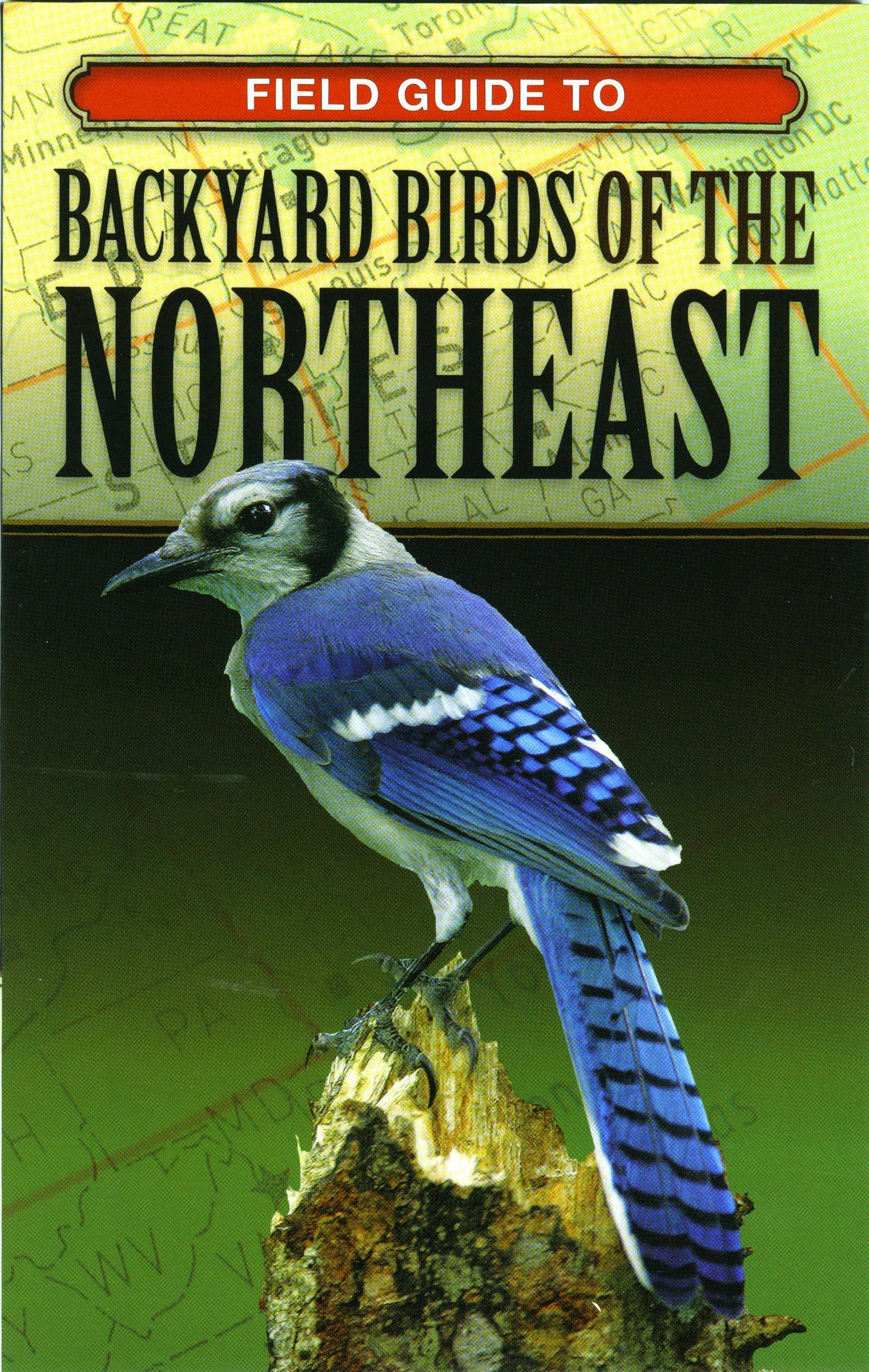 Field Guide to Backyard Birds of the Northeast book