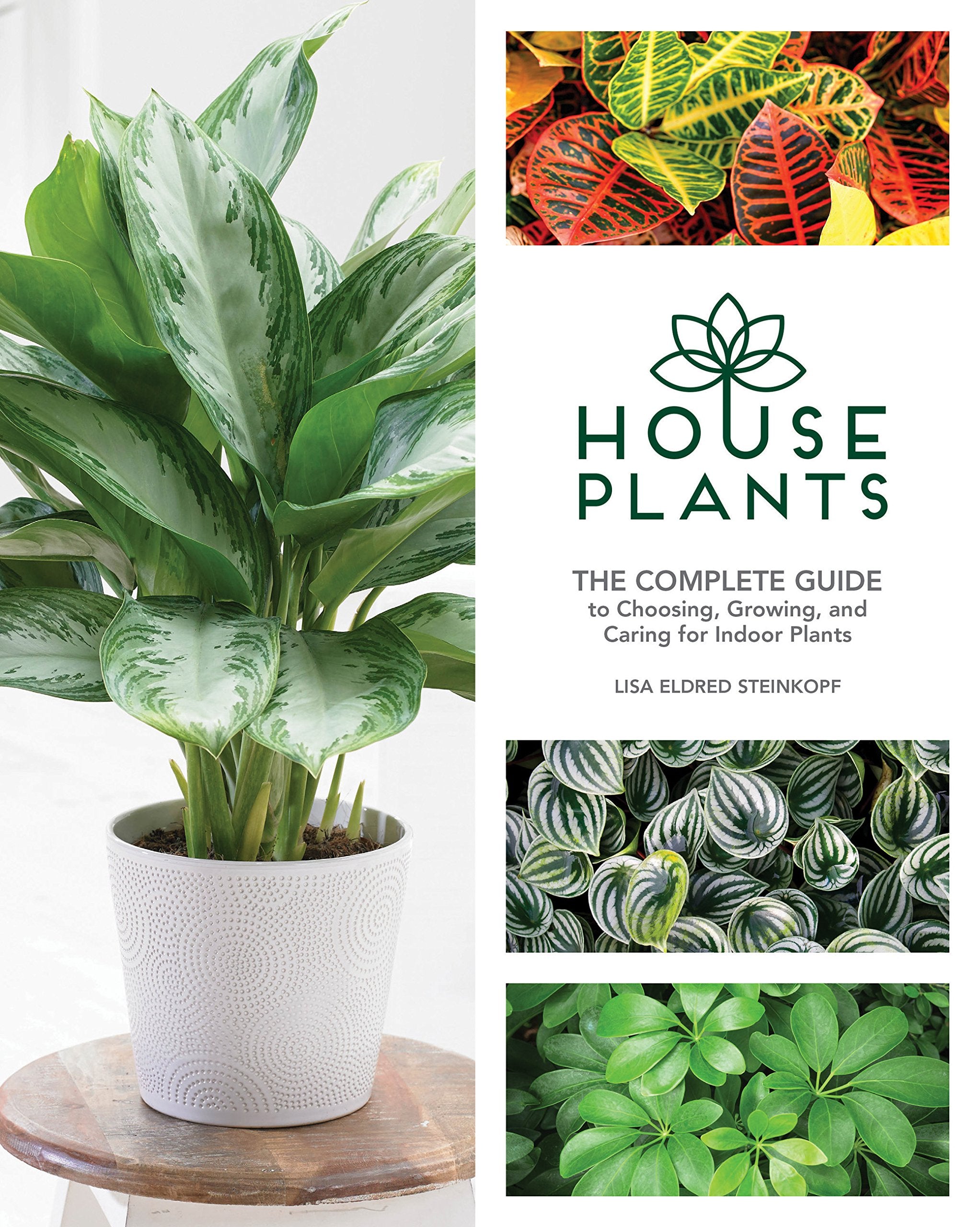 Houseplants: The Complete Guide to Choosing, Growing, and Caring for Indoor Plants Garden & Plants