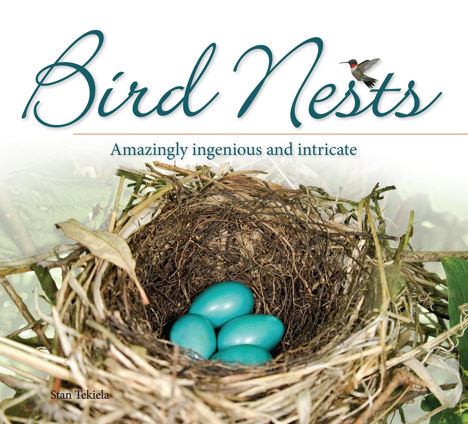 Bird Nests: Amazingly Ingenious and Intricate (Nature Appreciation) Mathematics