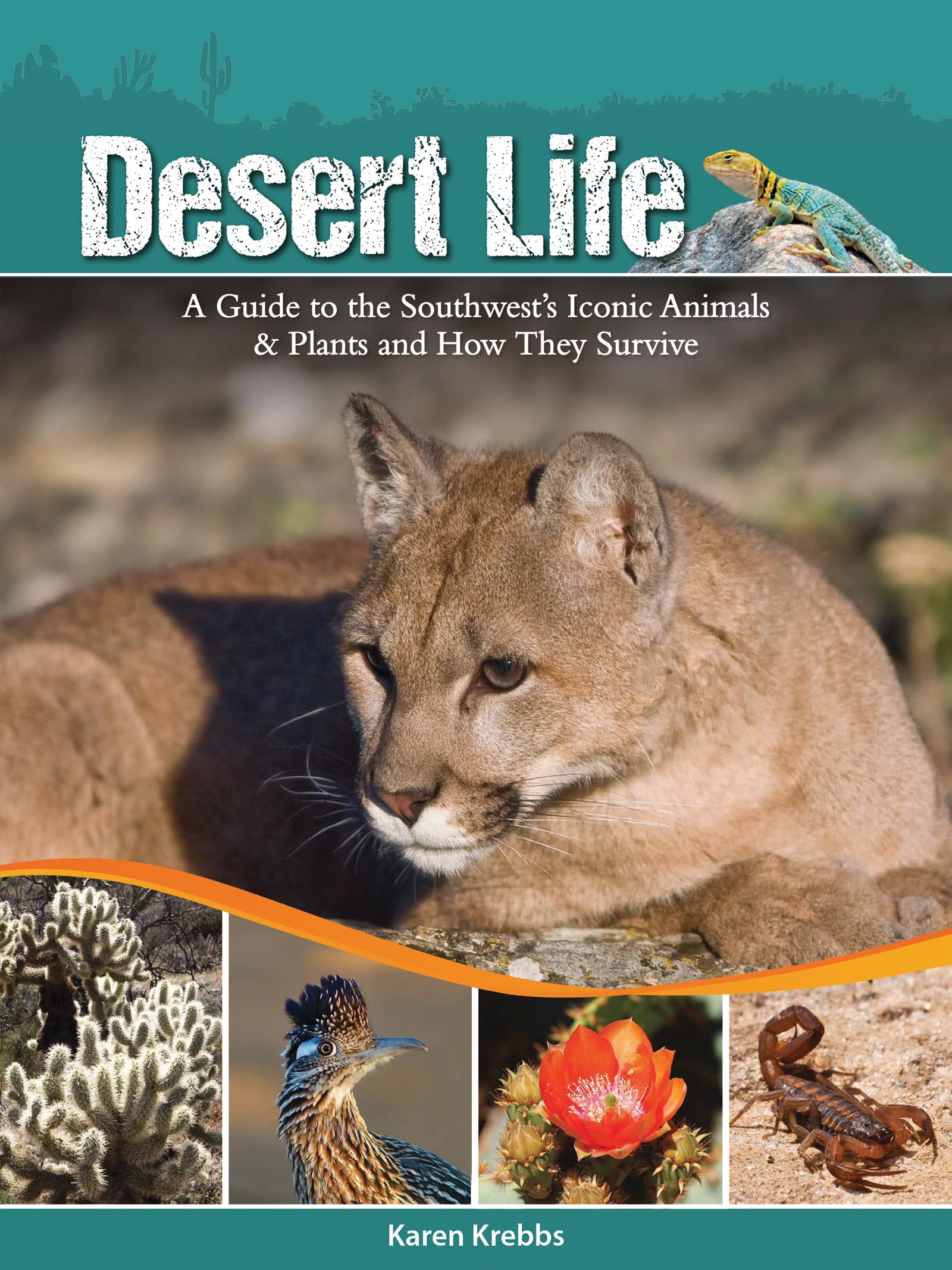 Product Image: Desert Life