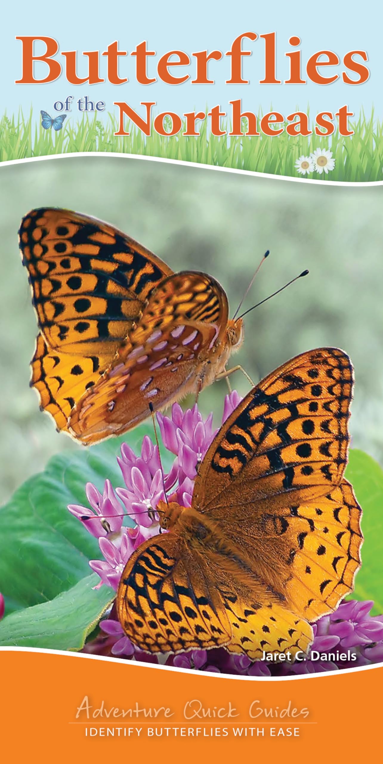 Butterflies of the Northeast: Identify Butterflies with Ease (Adventure Quick Guides) Mathematics