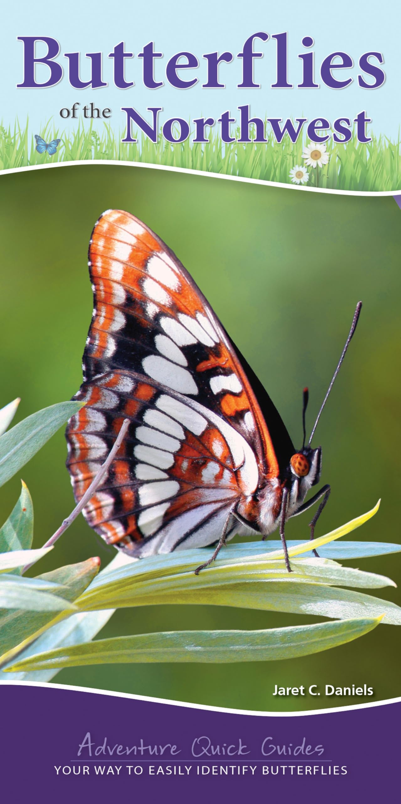 Butterflies of the Northwest: Your Way to Easily Identify Butterflies (Adventure Quick Guides) Mathematics