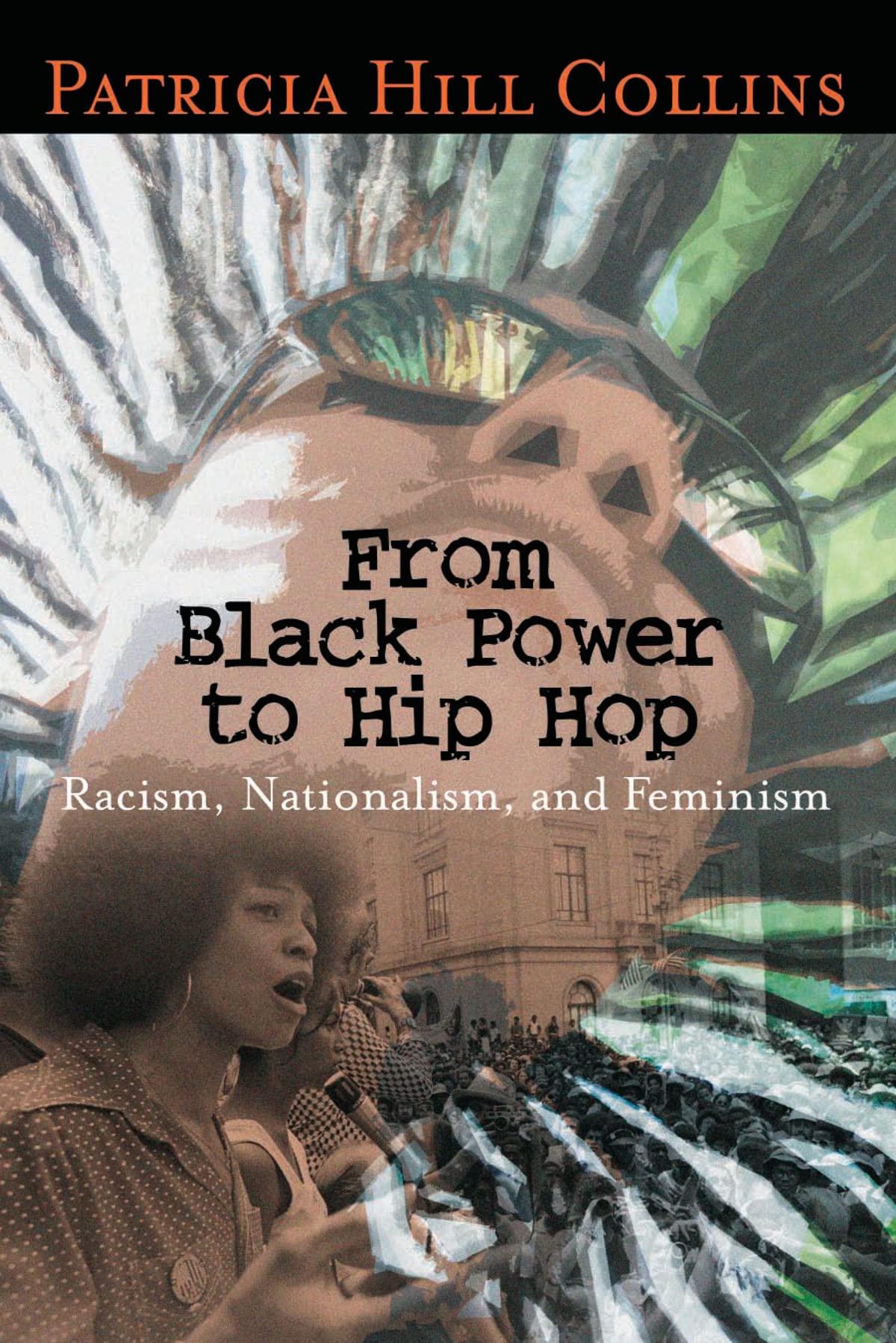 From Black Power to Hip Hop: Racism, Nationalism, And Feminism (Politics History & Social Change) Books